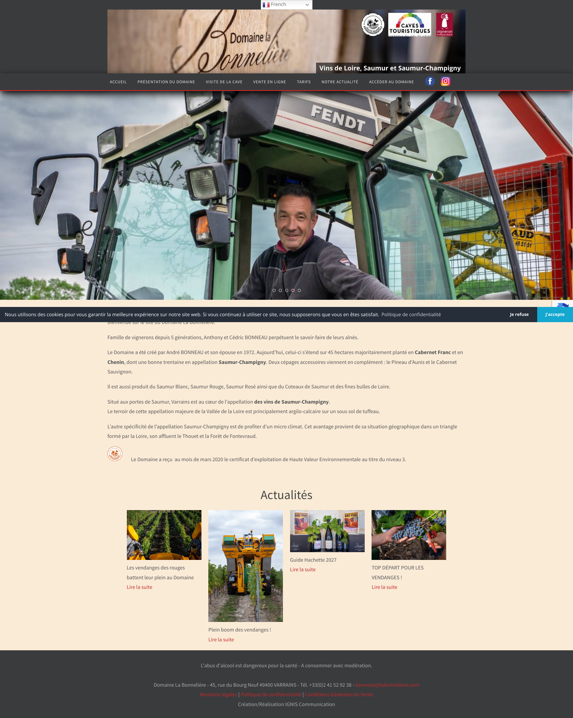 Aperçu du site