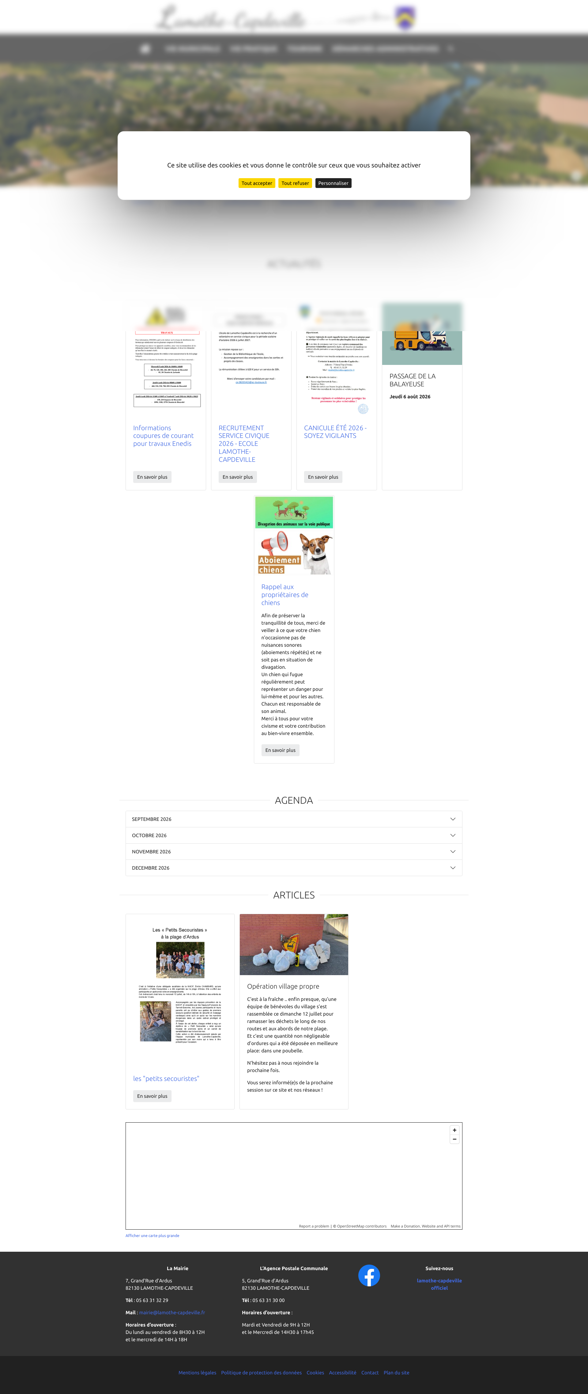 Aperçu du site
