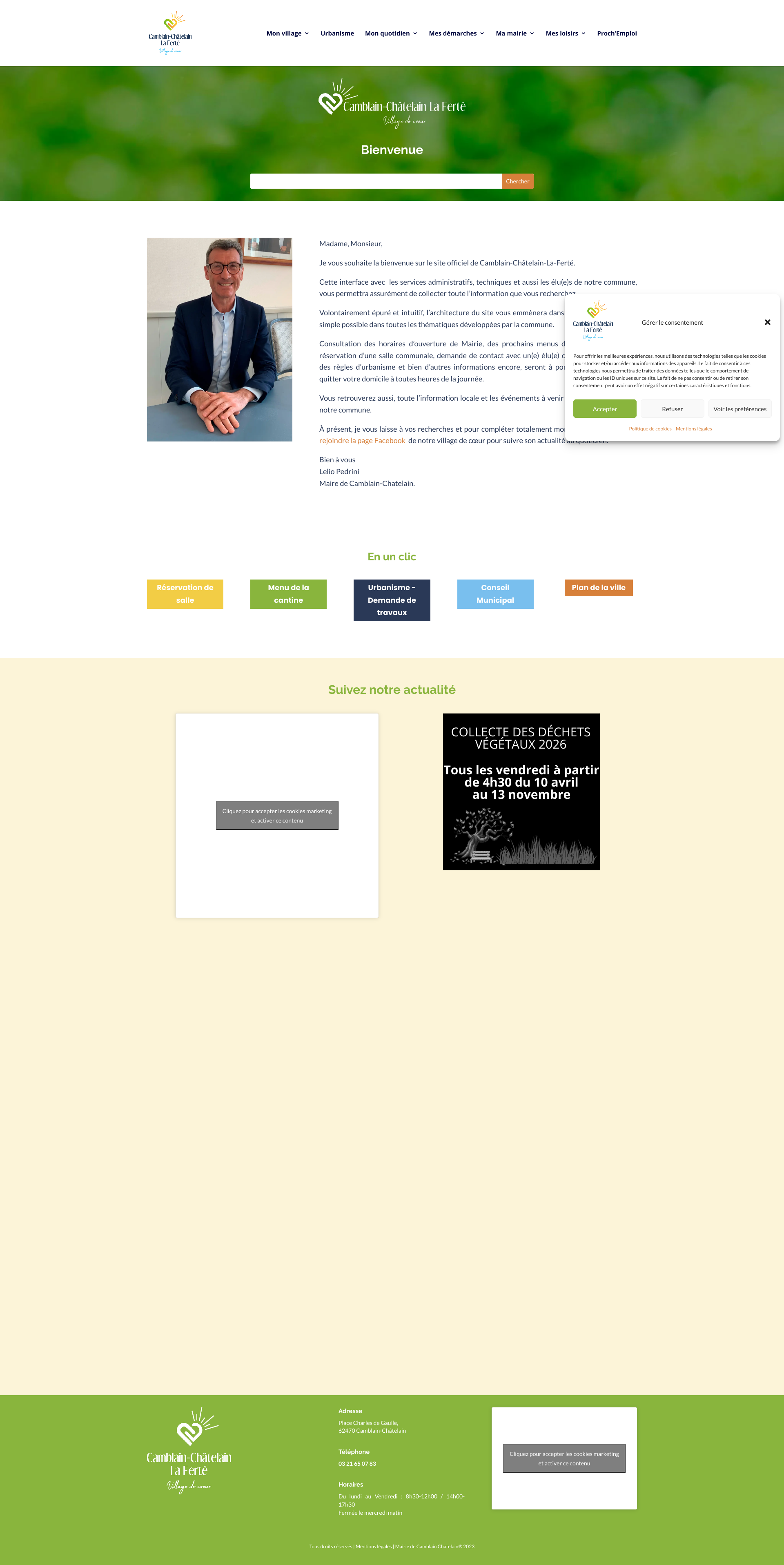 Aperçu du site