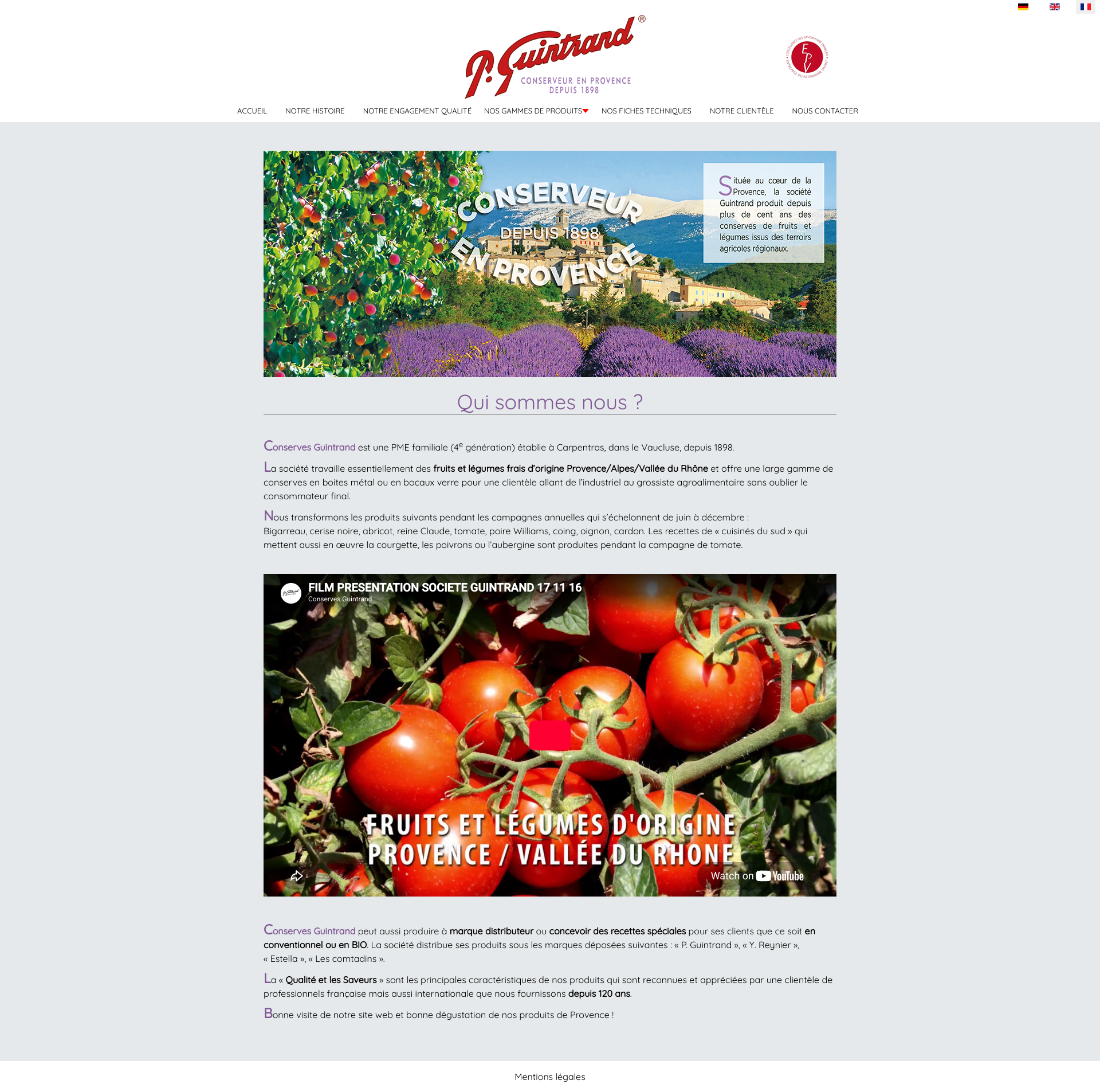 Aperçu du site