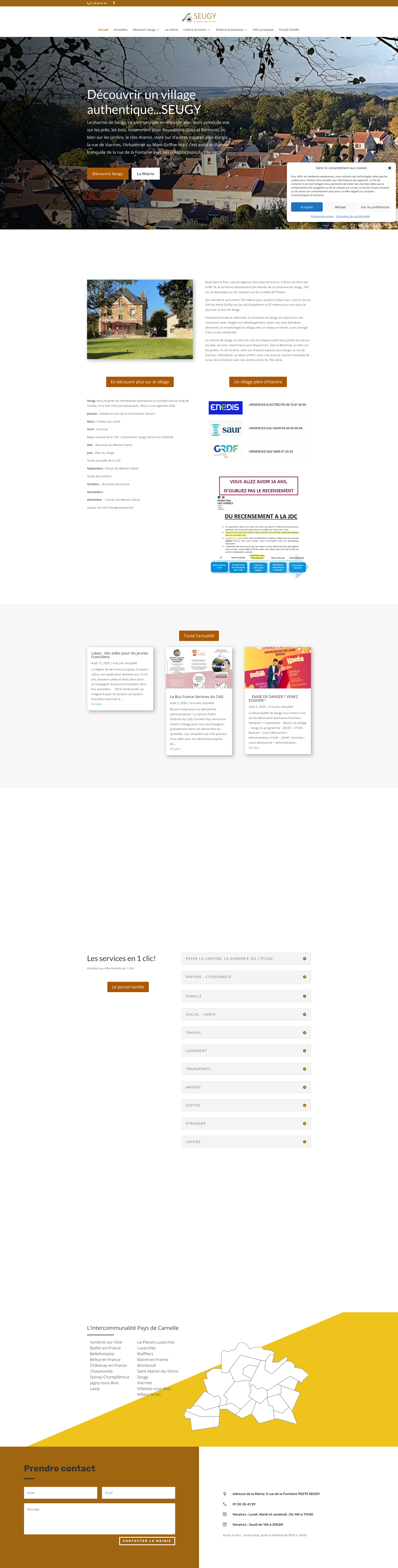 Aperçu du site