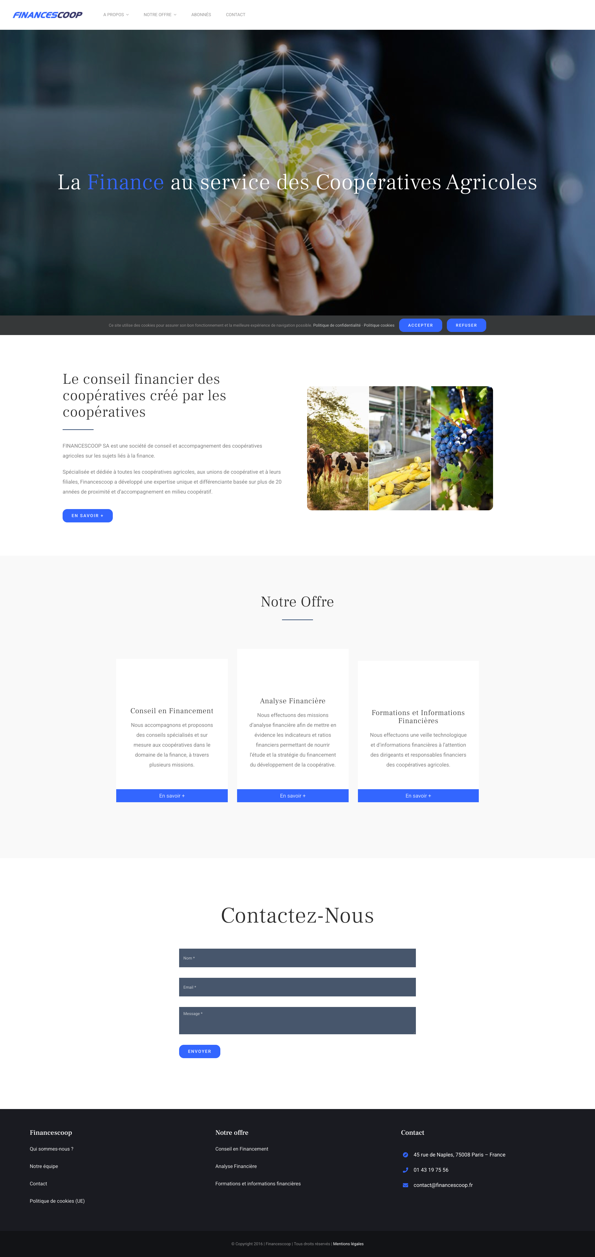 Aperçu du site