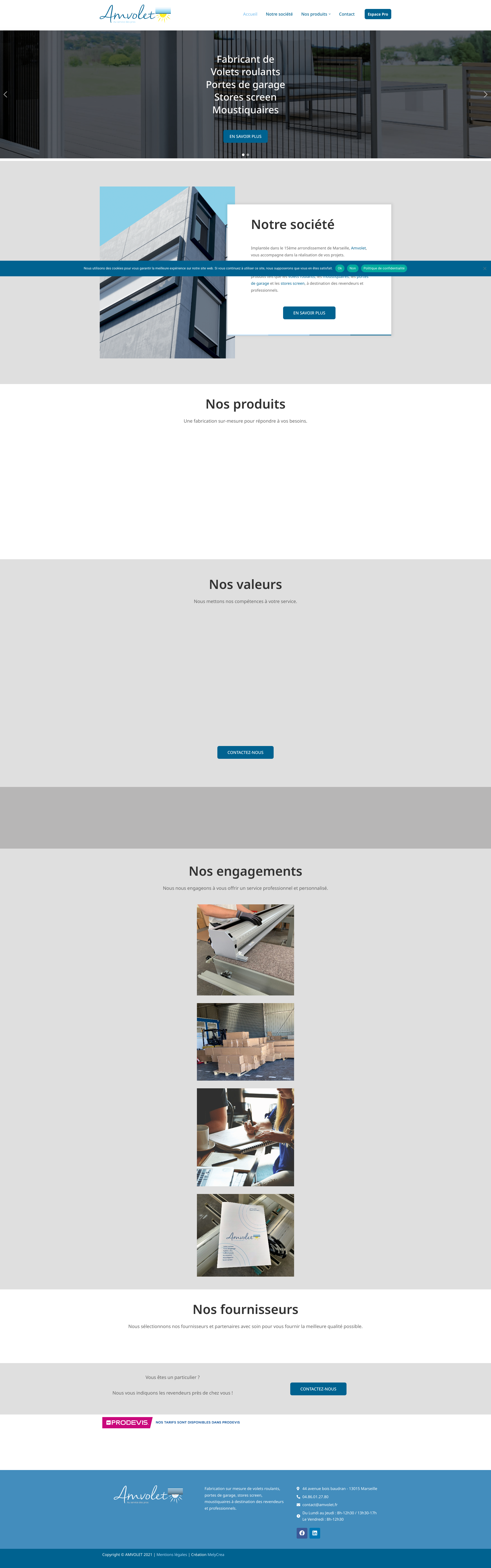 Aperçu du site