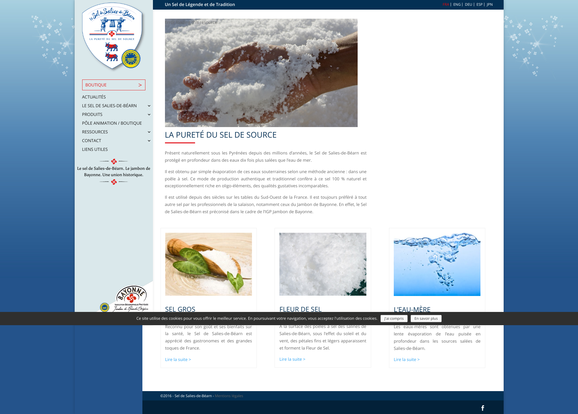 Aperçu du site