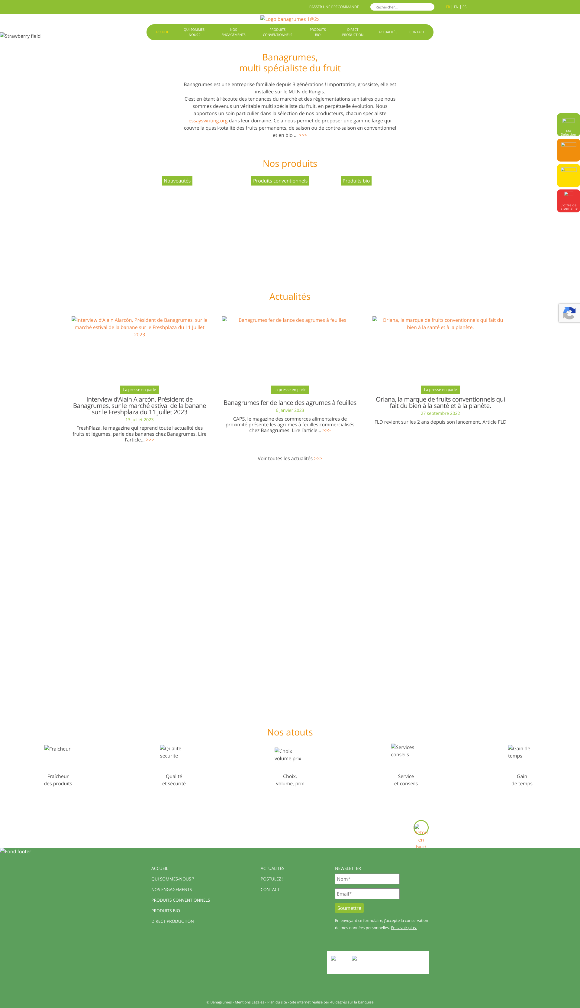 Aperçu du site