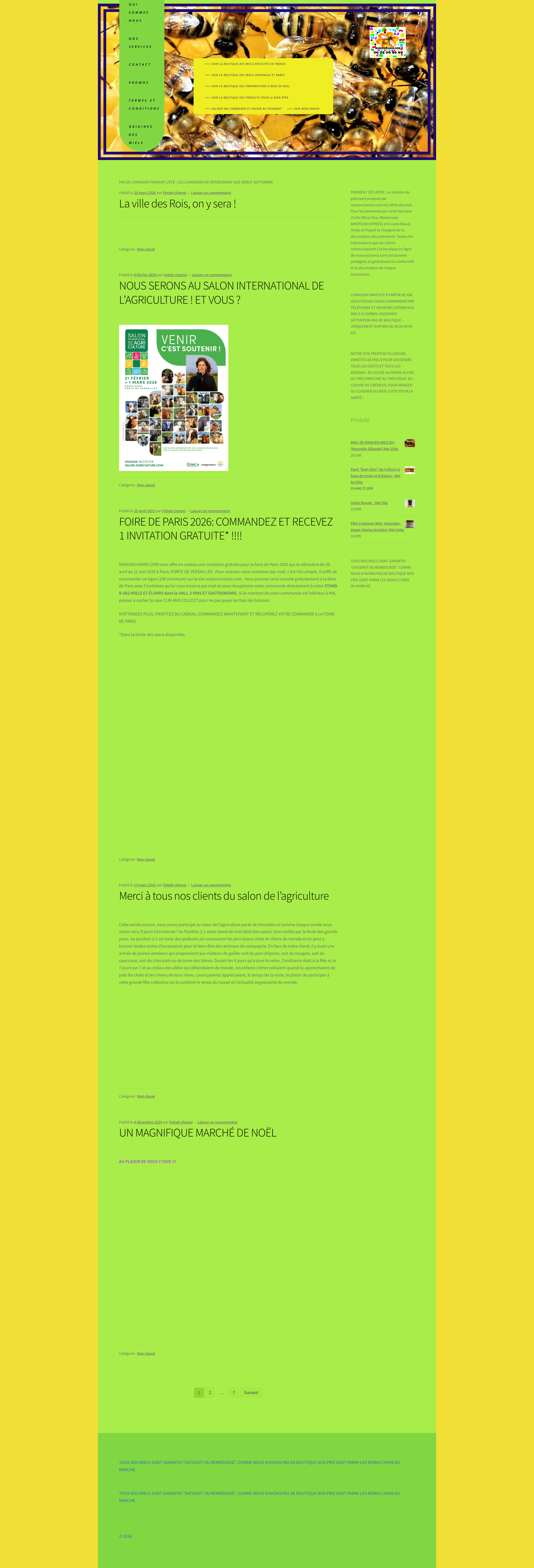 Aperçu du site