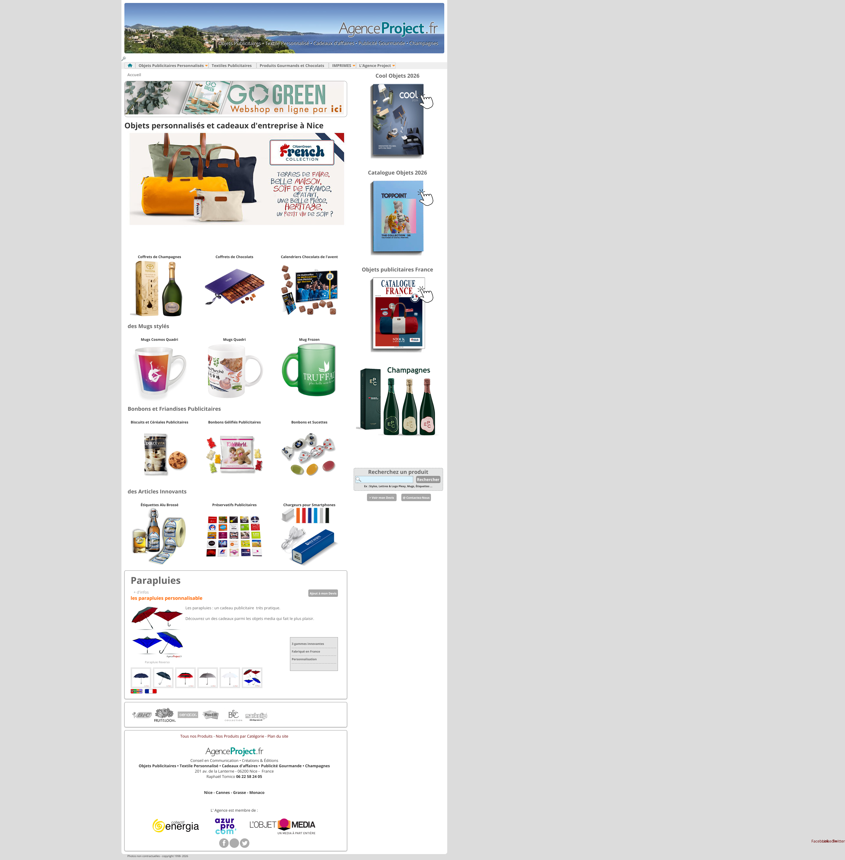 Aperçu du site