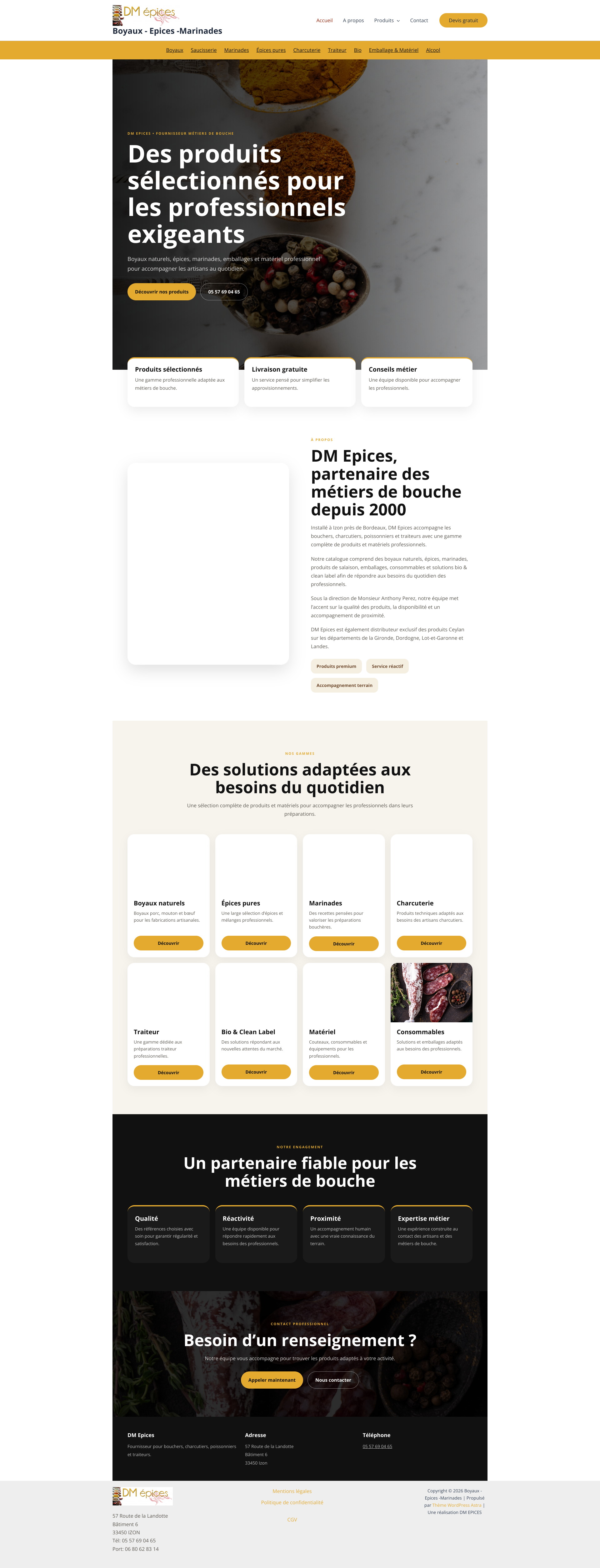 Aperçu du site