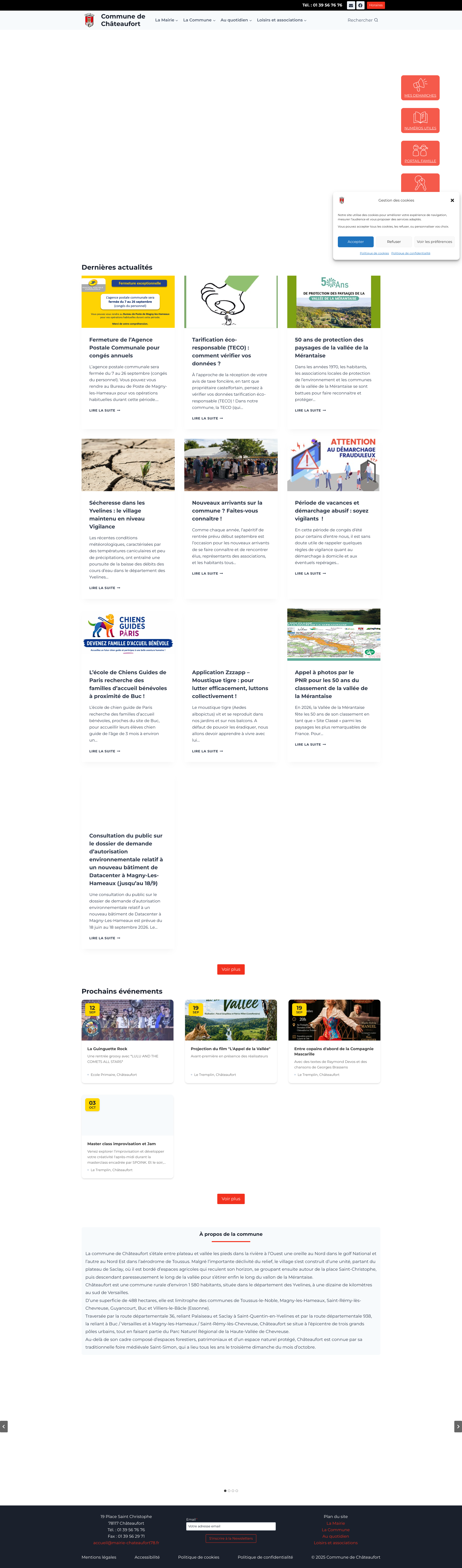 Aperçu du site