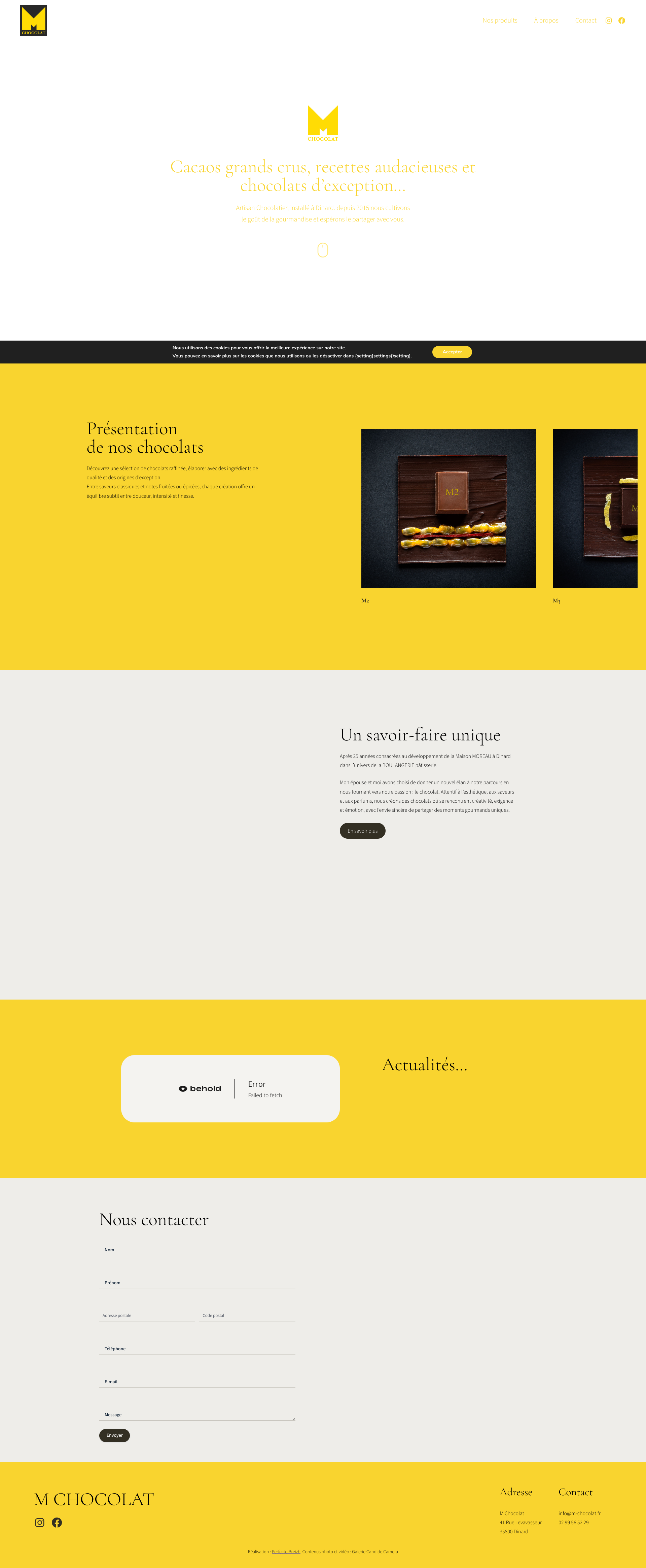 Aperçu du site