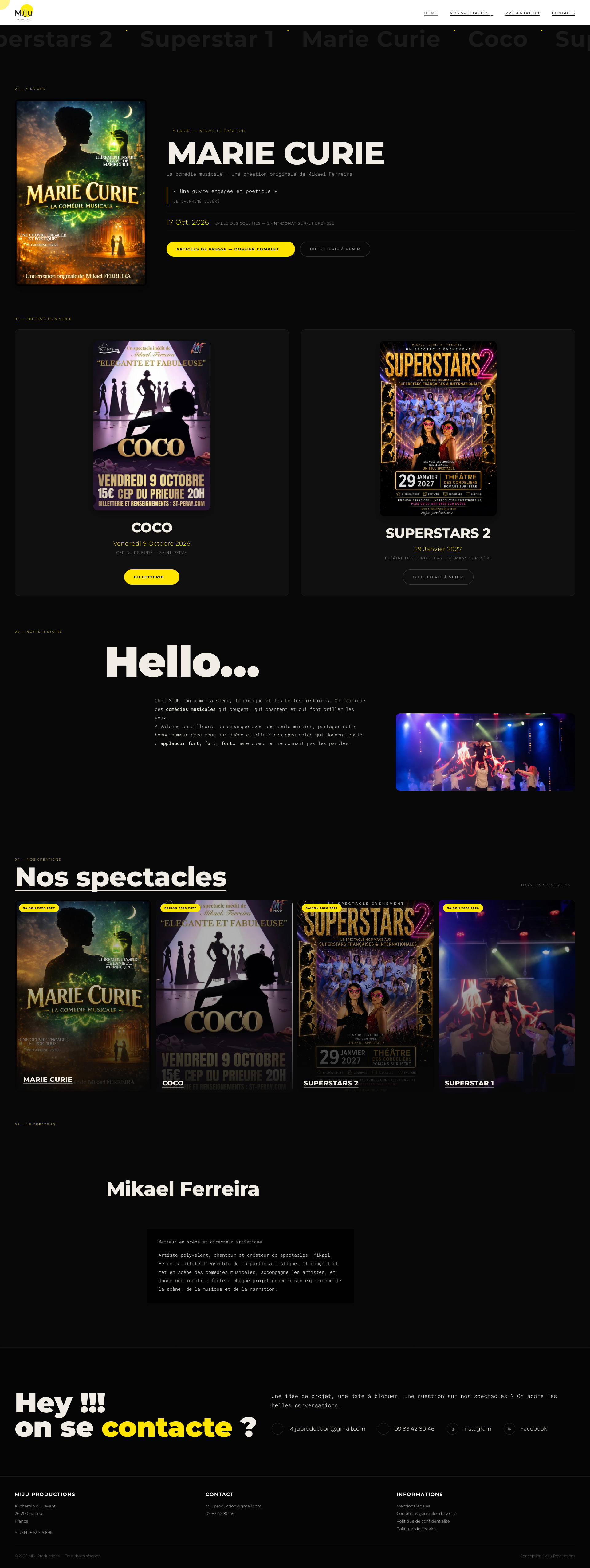 Aperçu du site