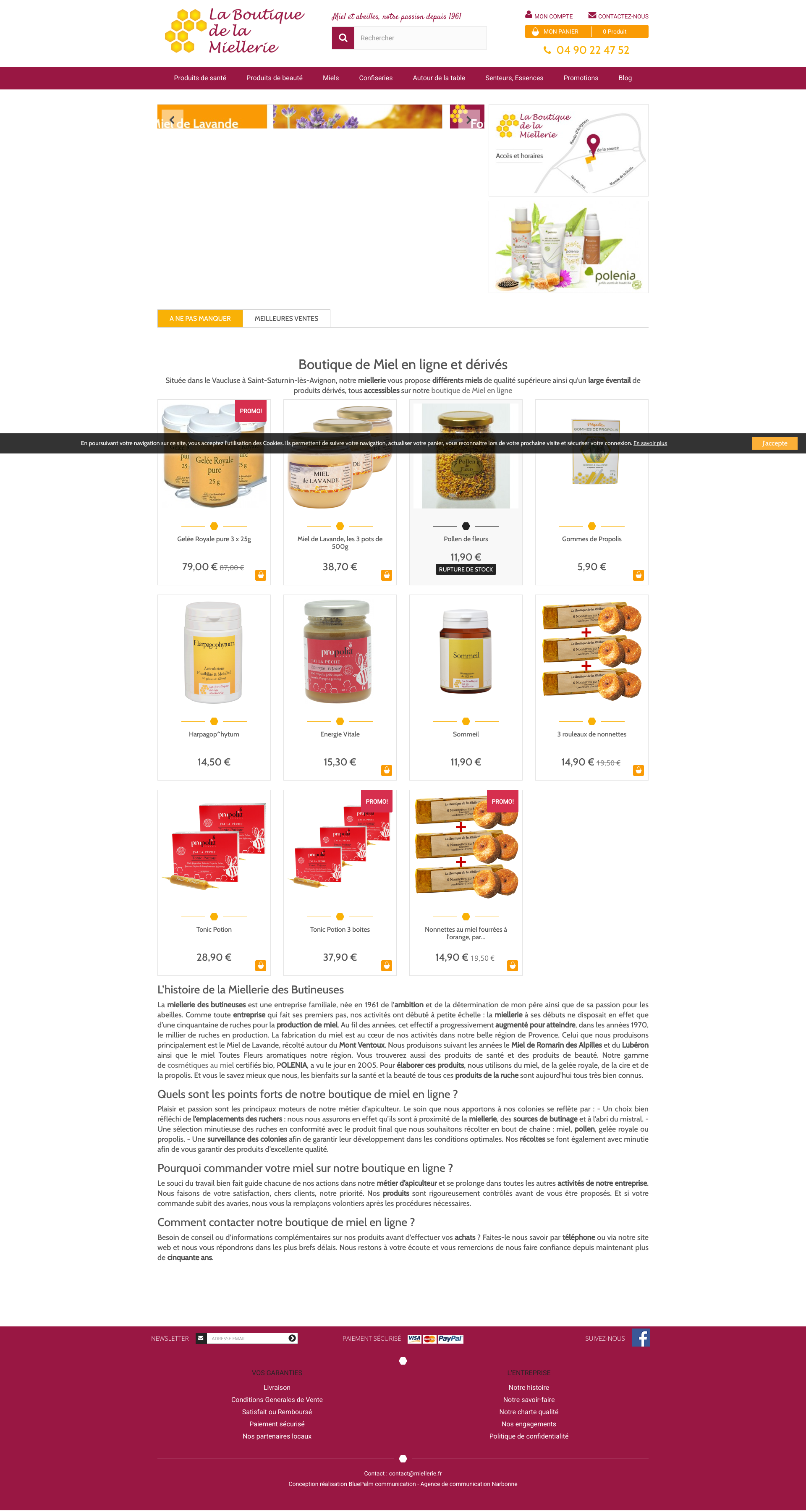 Aperçu du site