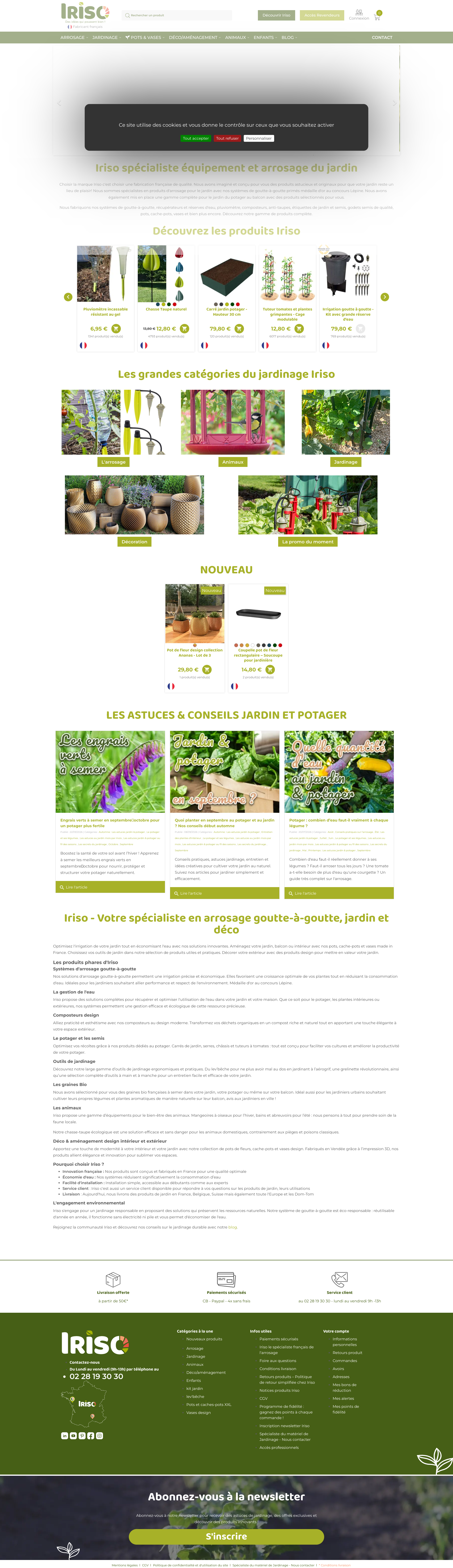 Aperçu du site