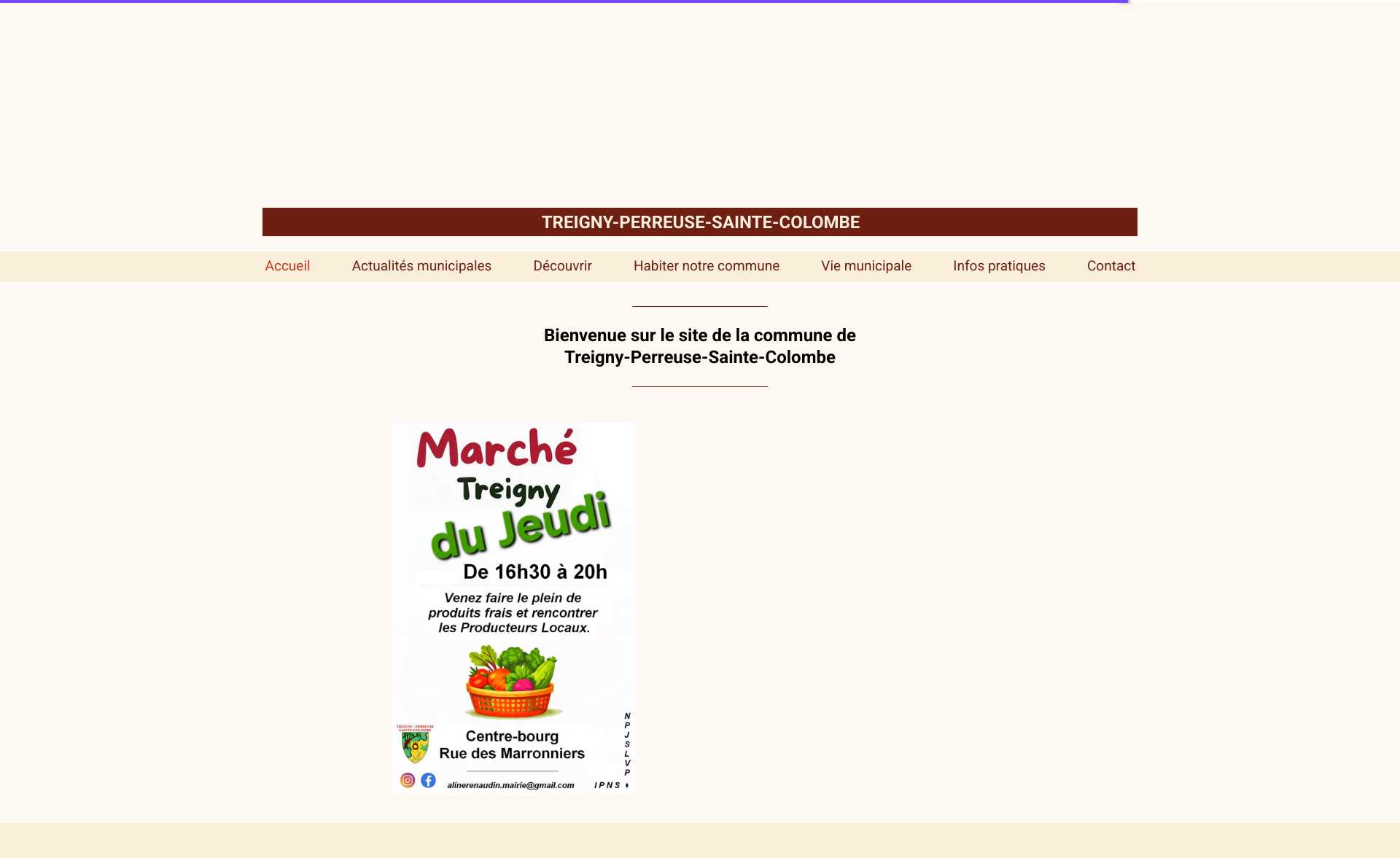 Aperçu du site