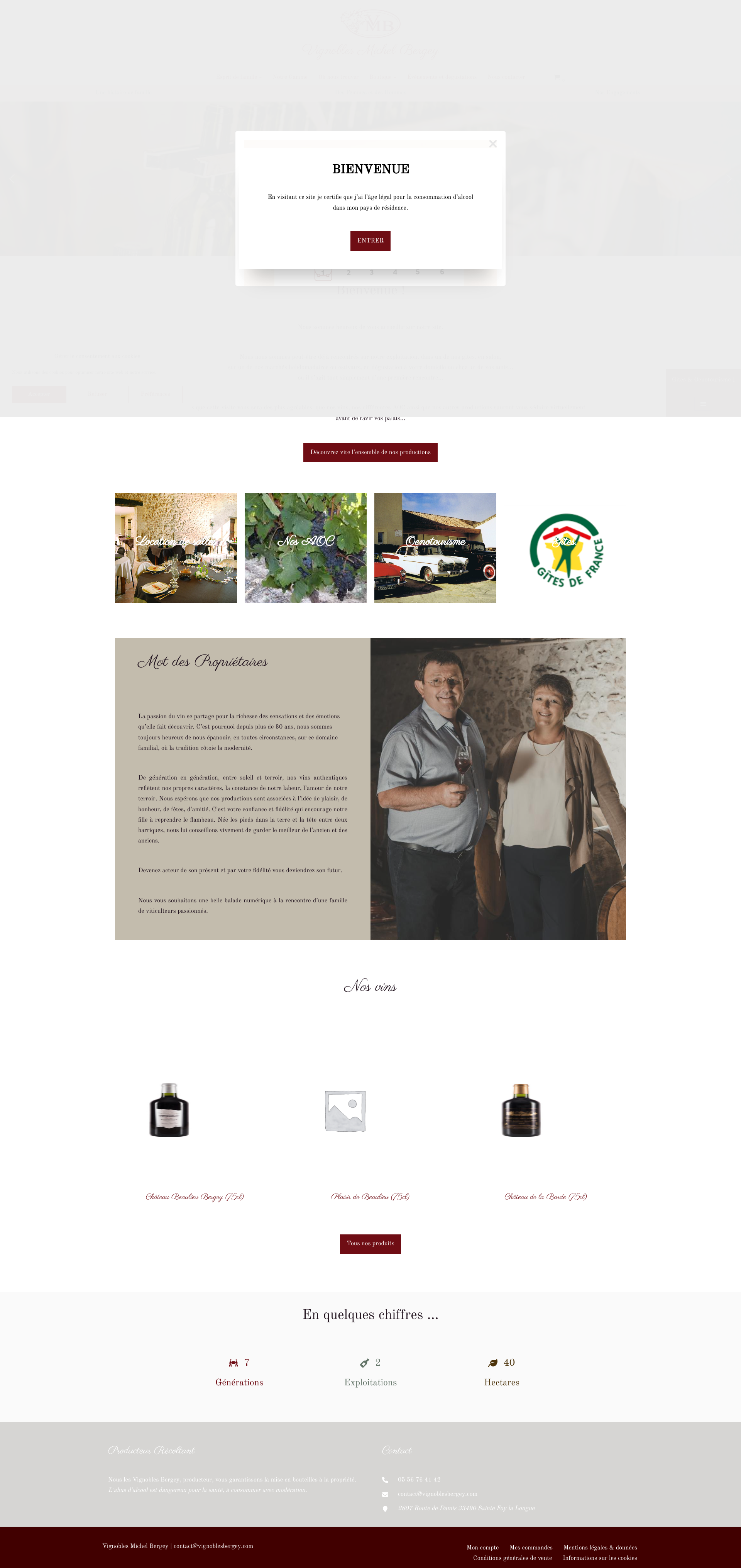Aperçu du site