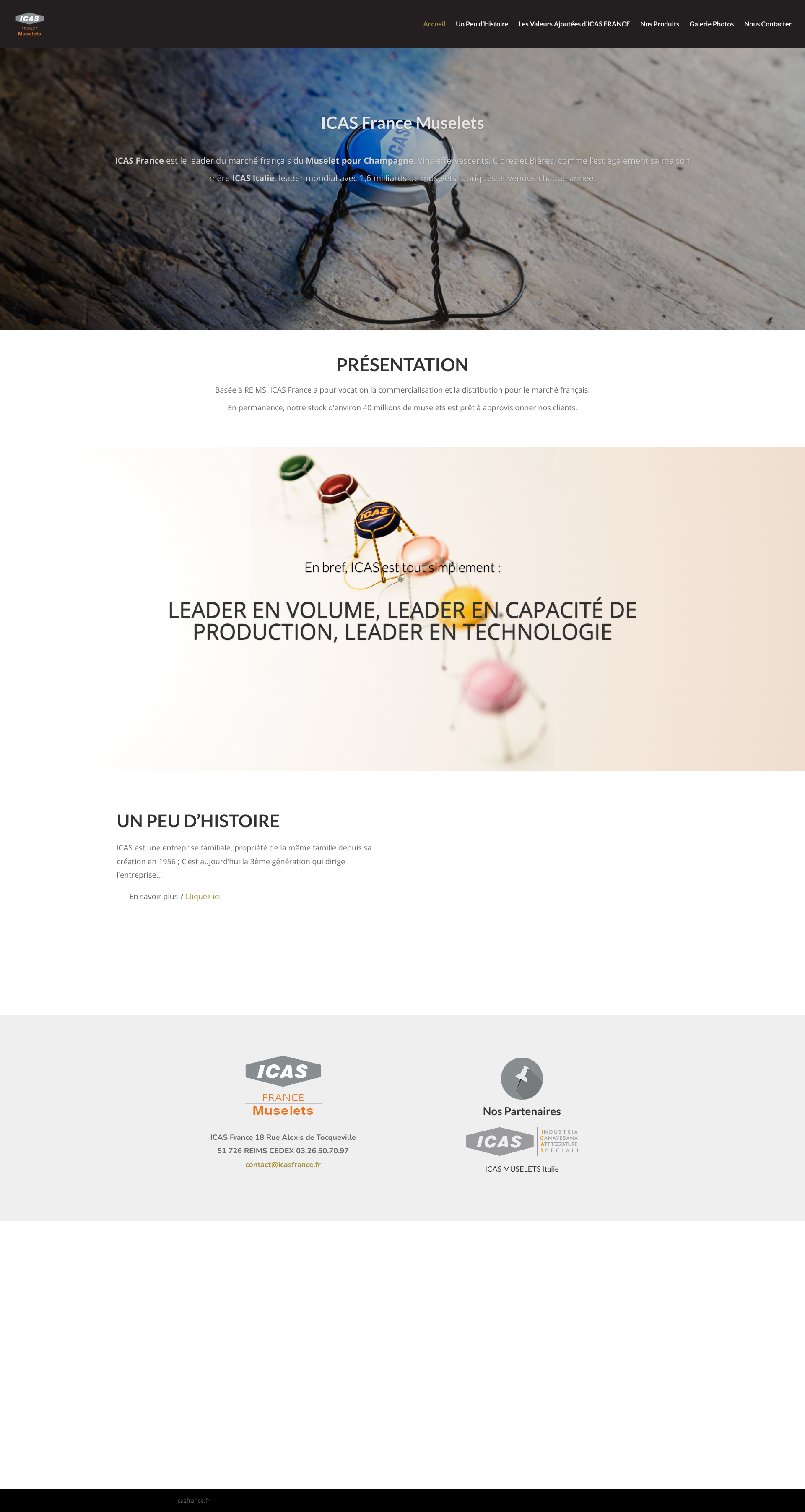 Aperçu du site