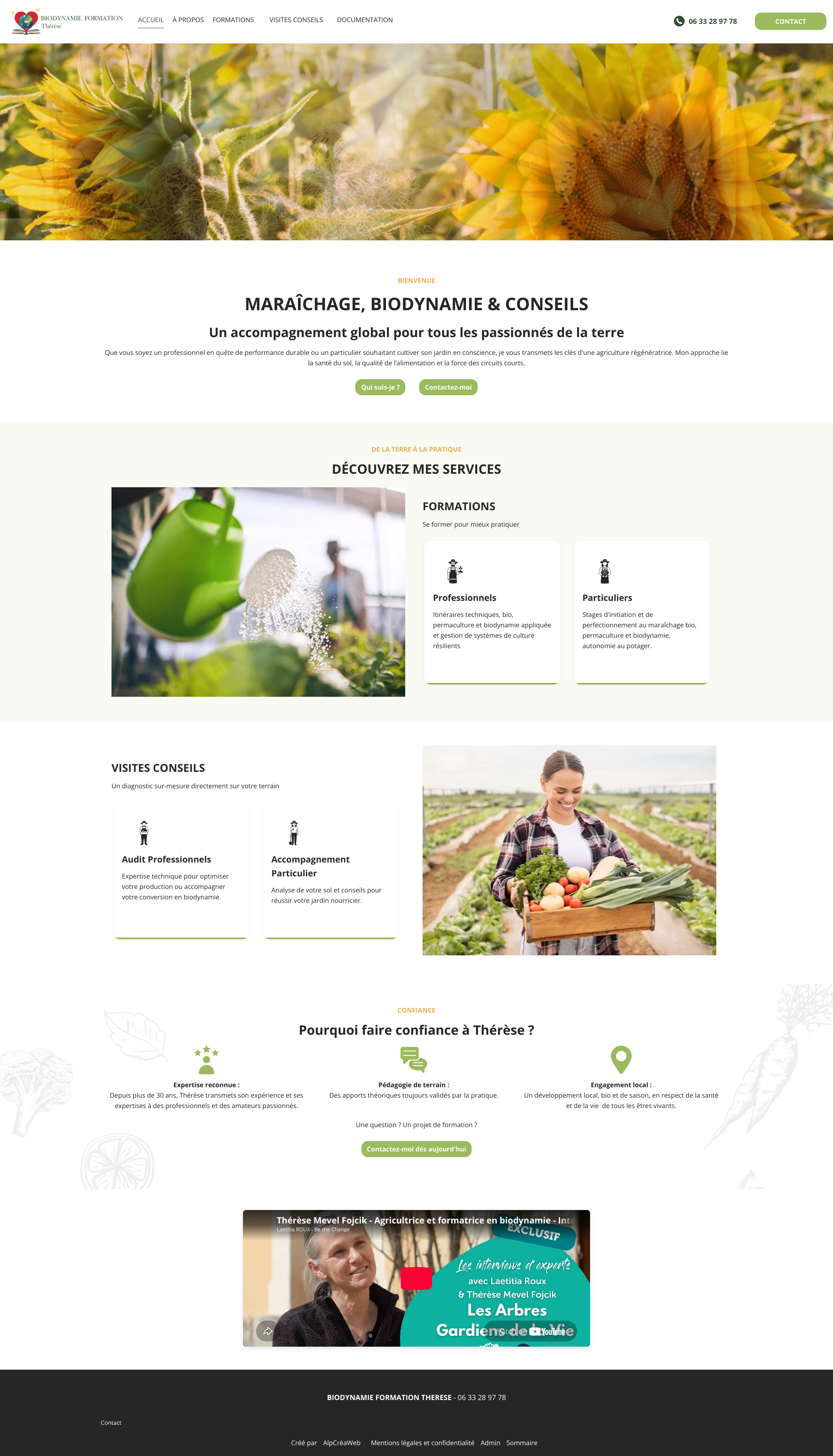 Aperçu du site