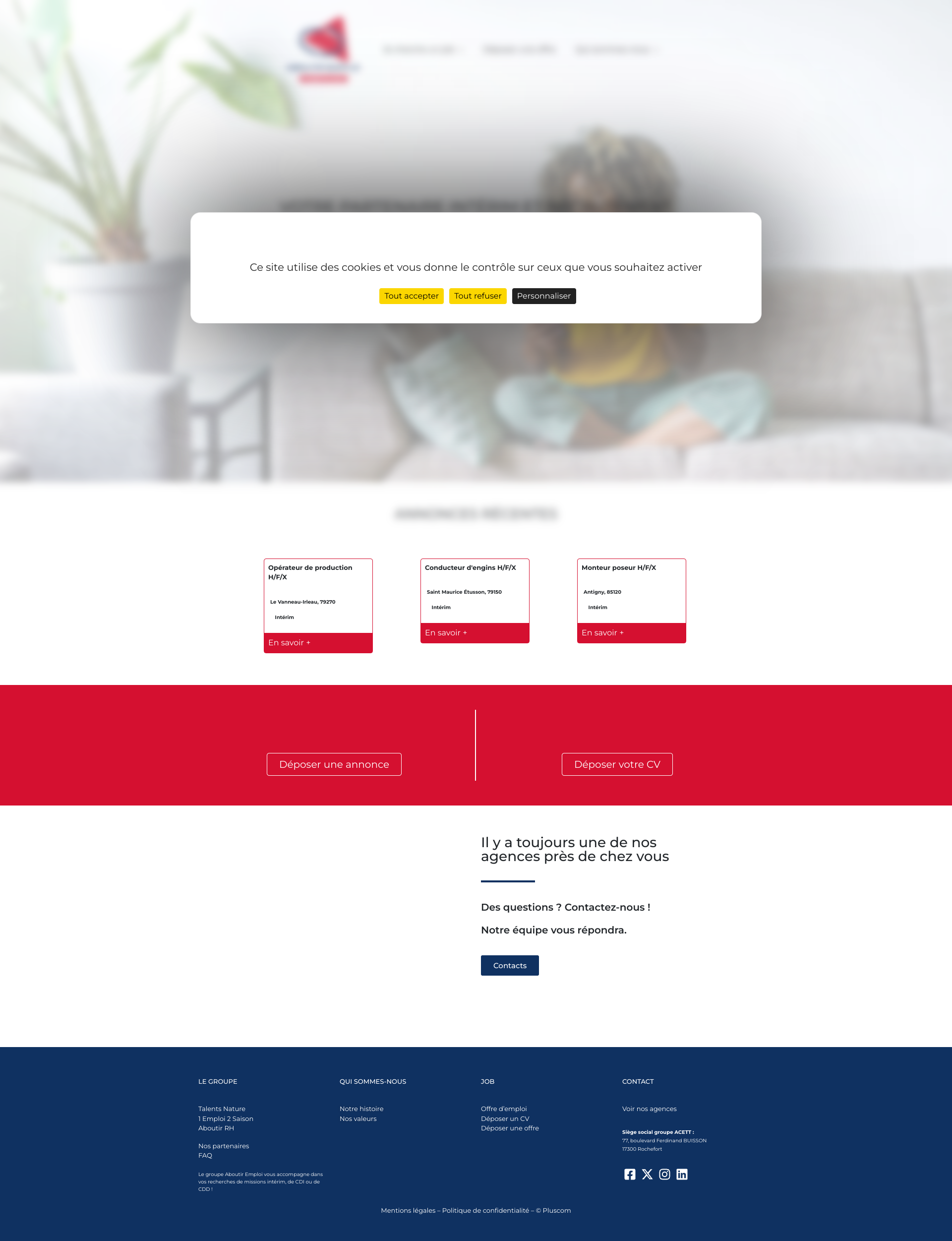 Aperçu du site