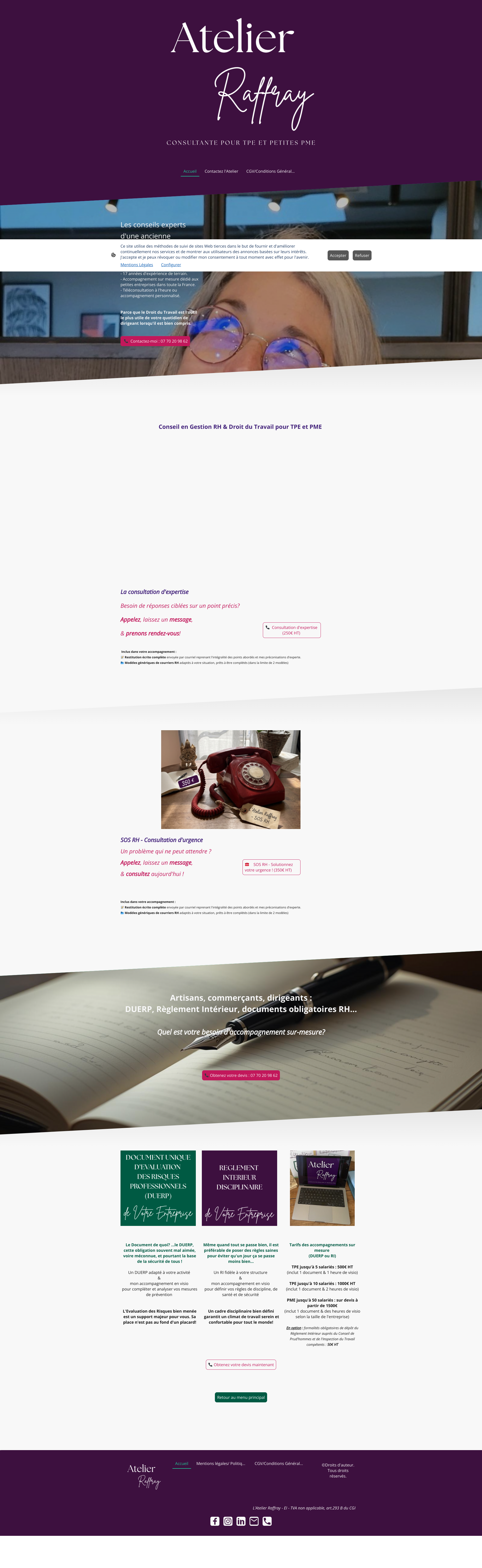 Aperçu du site
