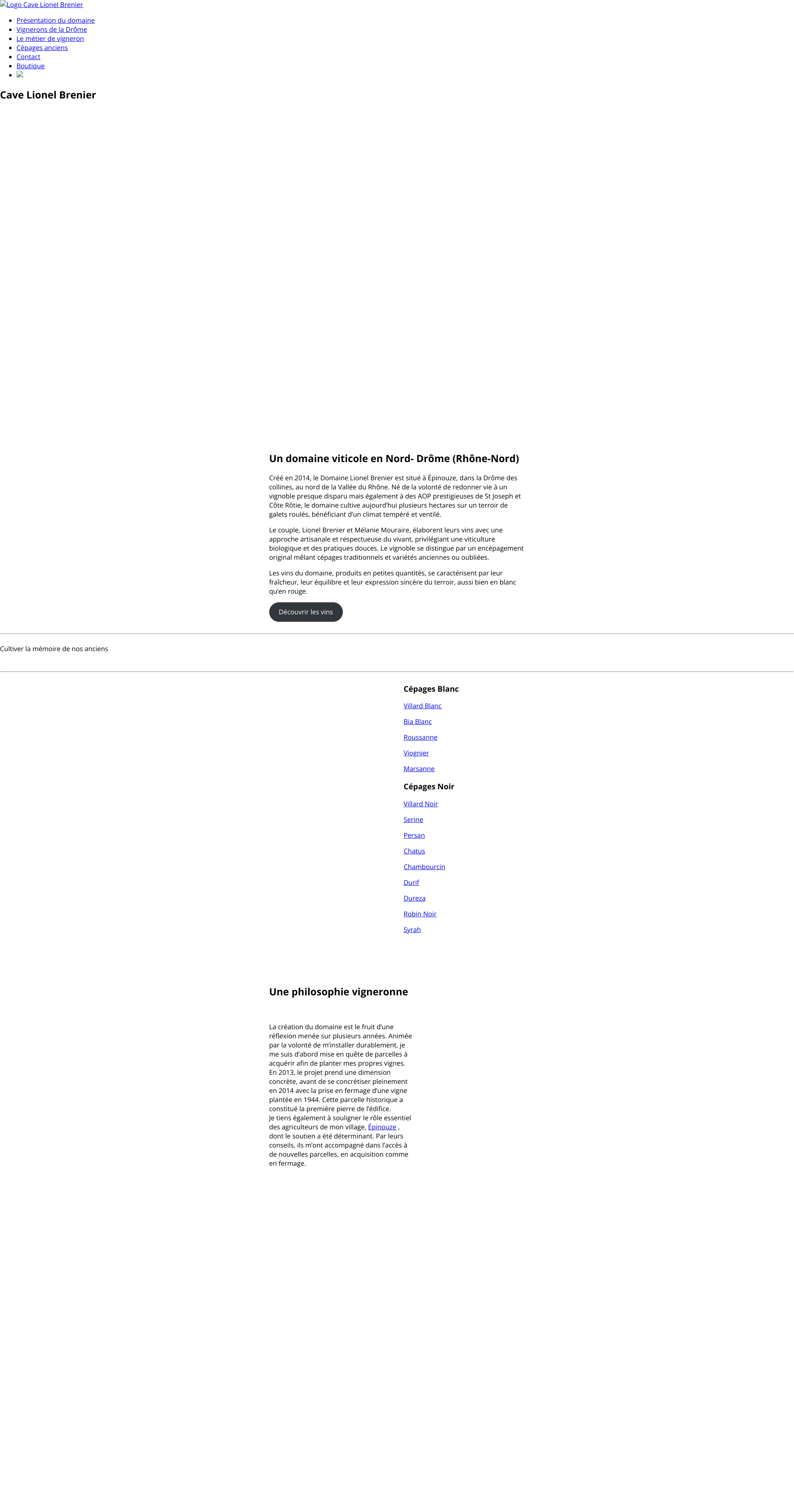 Aperçu du site
