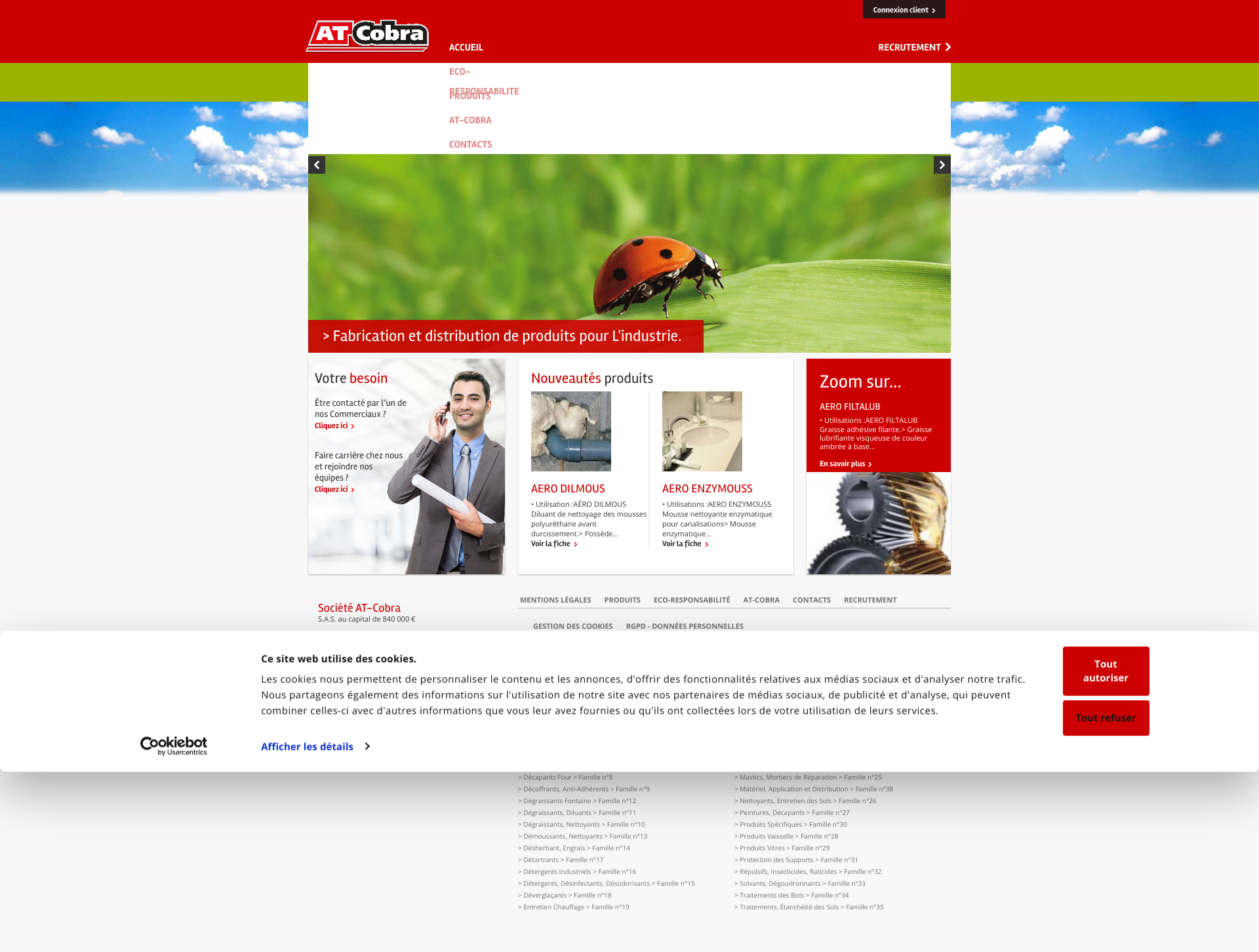 Aperçu du site