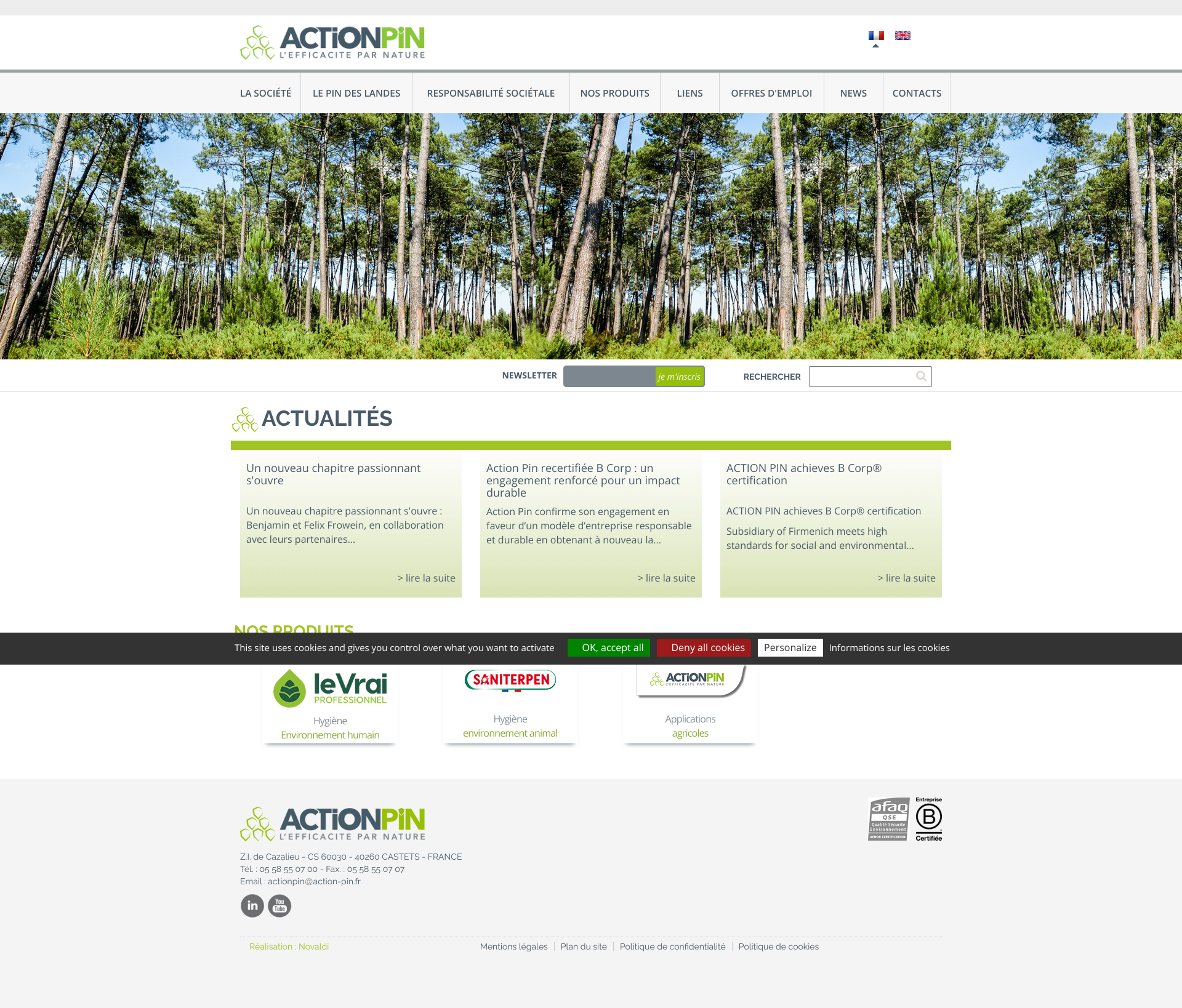 Aperçu du site
