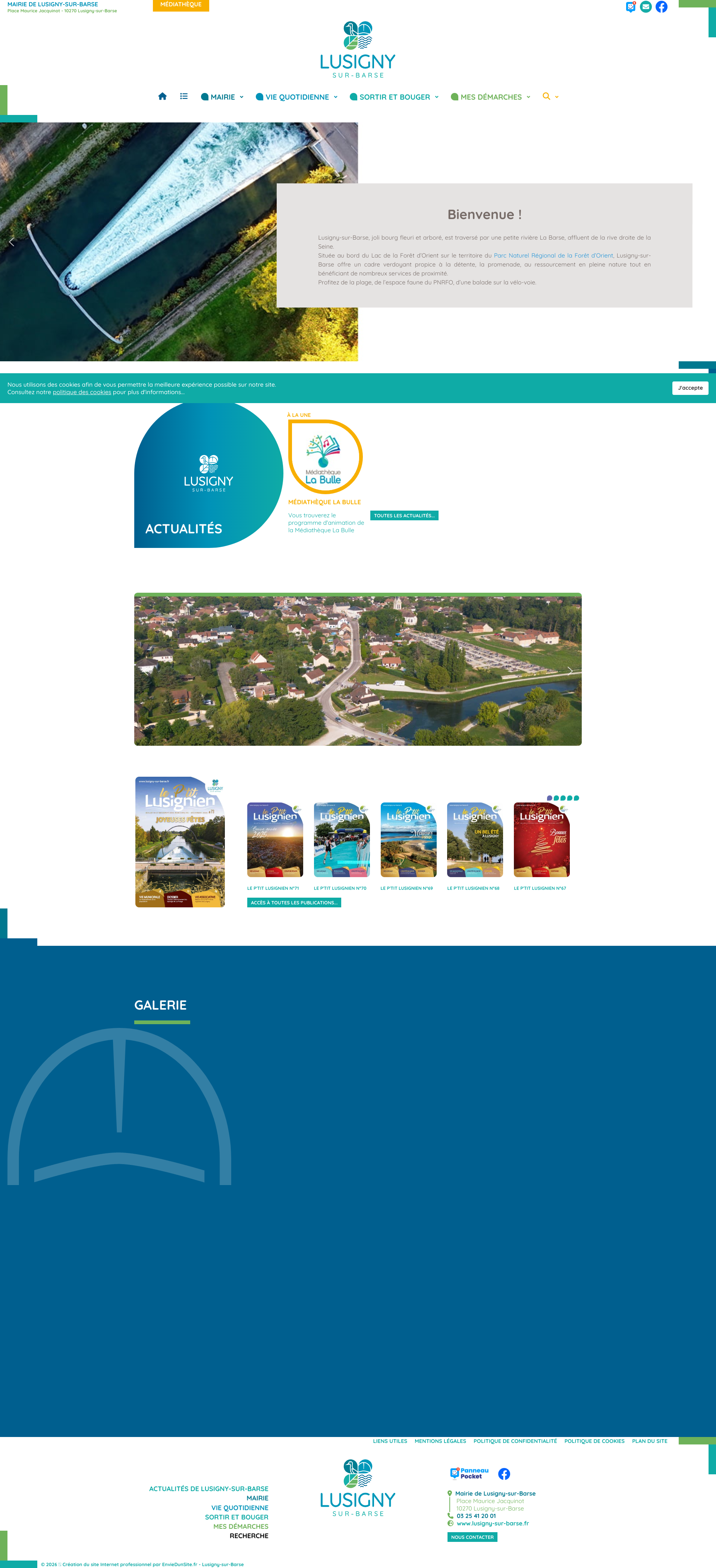 Aperçu du site
