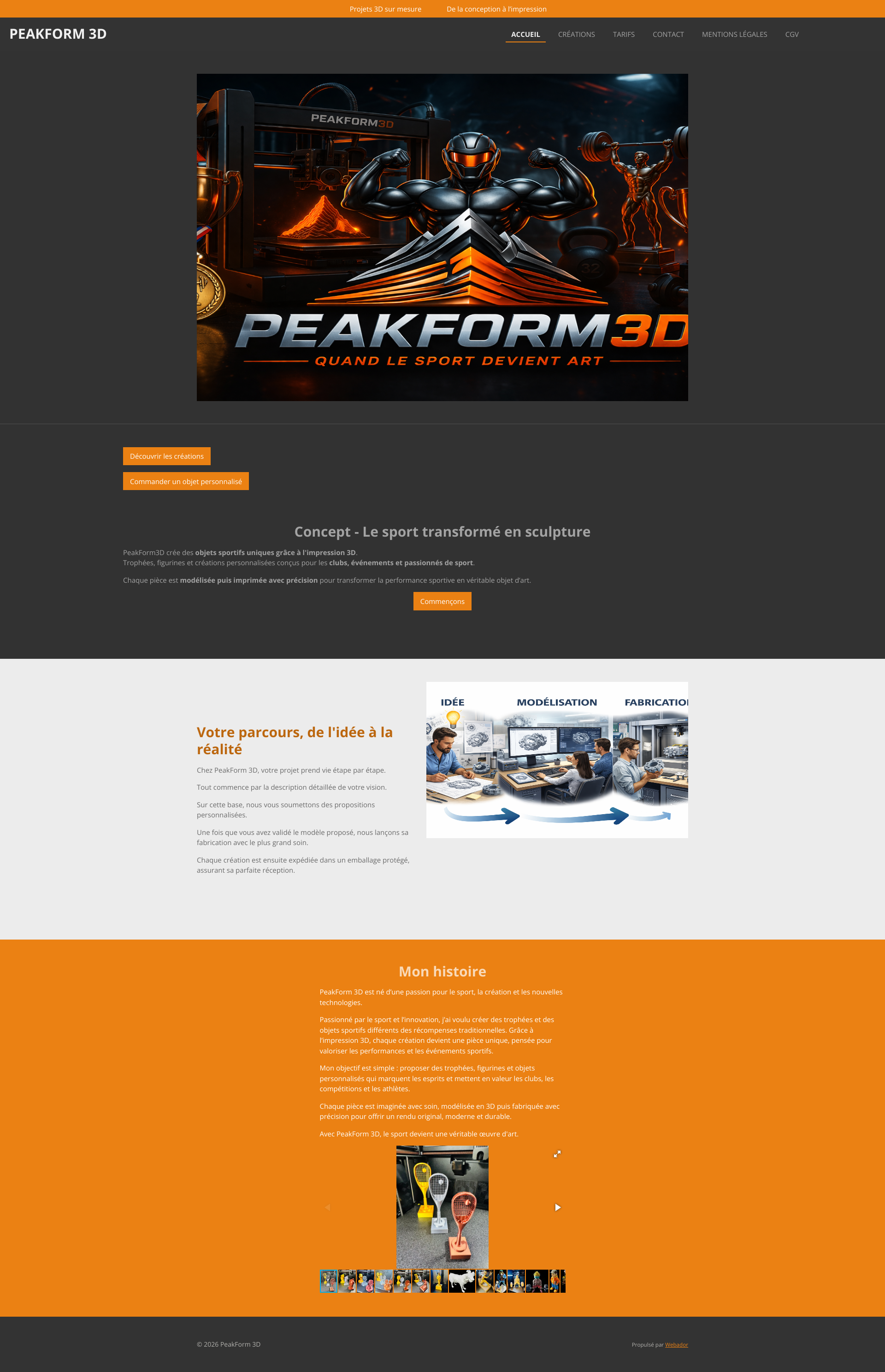 Aperçu du site