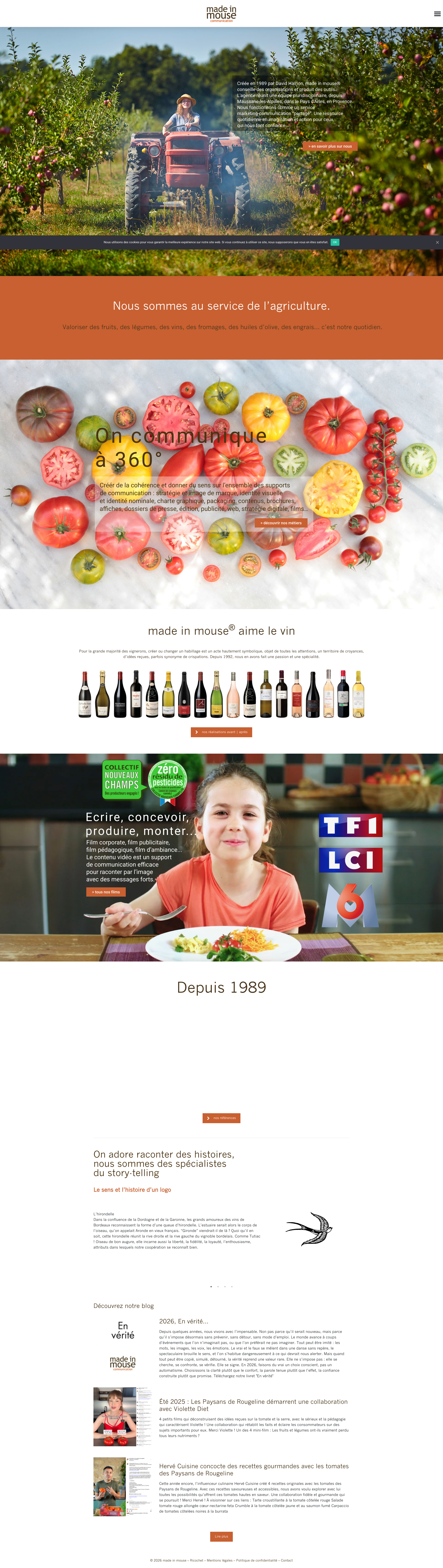 Aperçu du site