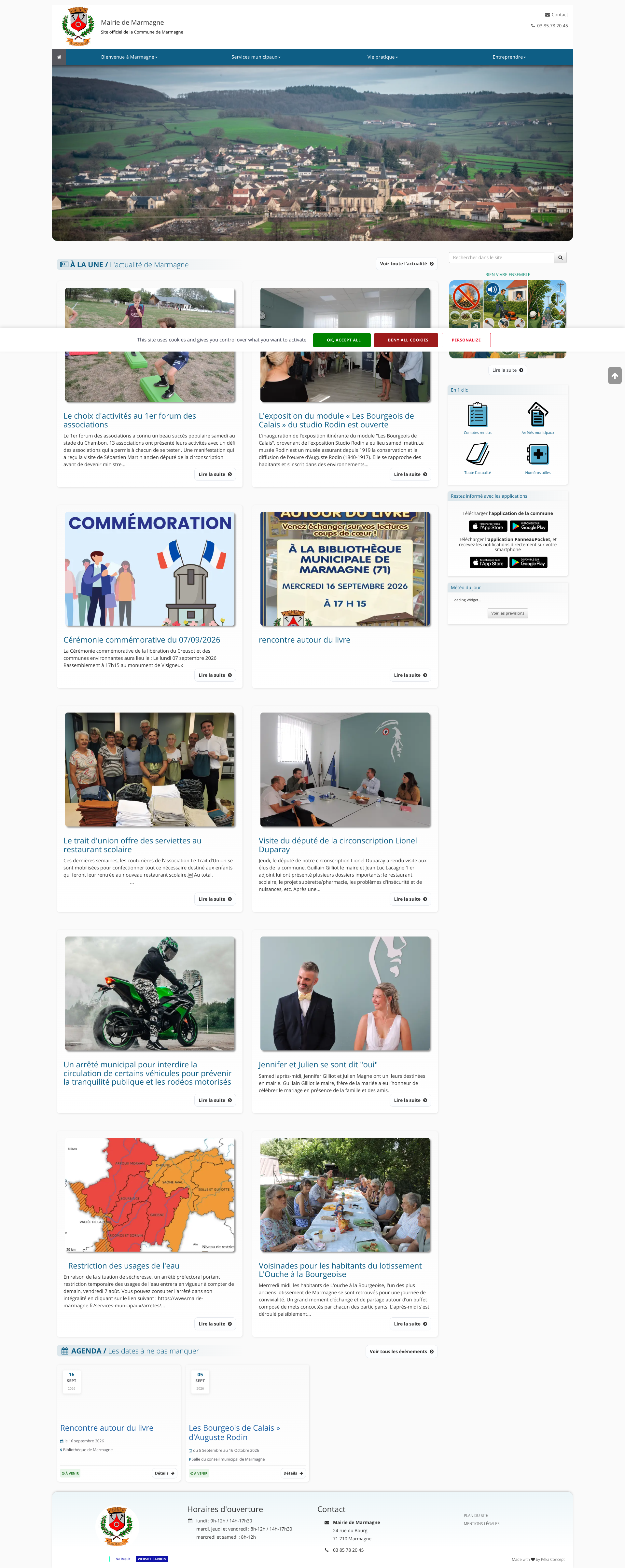 Aperçu du site