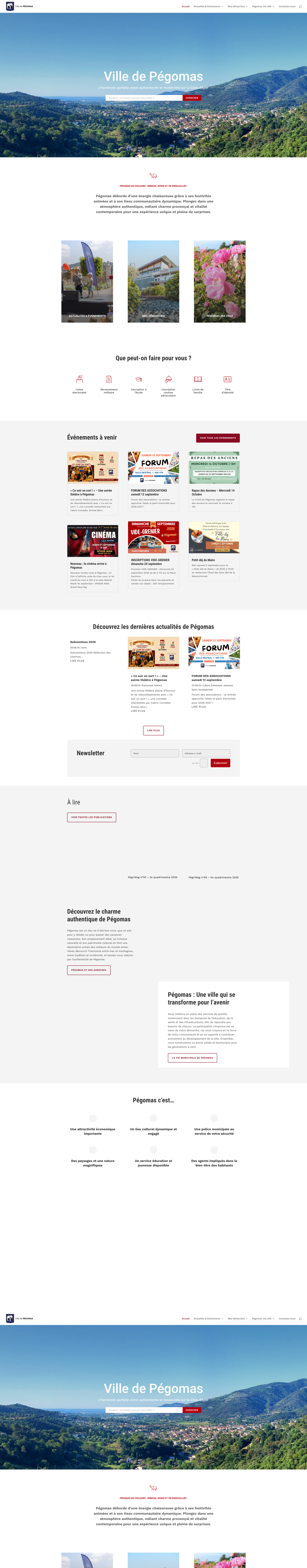 Aperçu du site