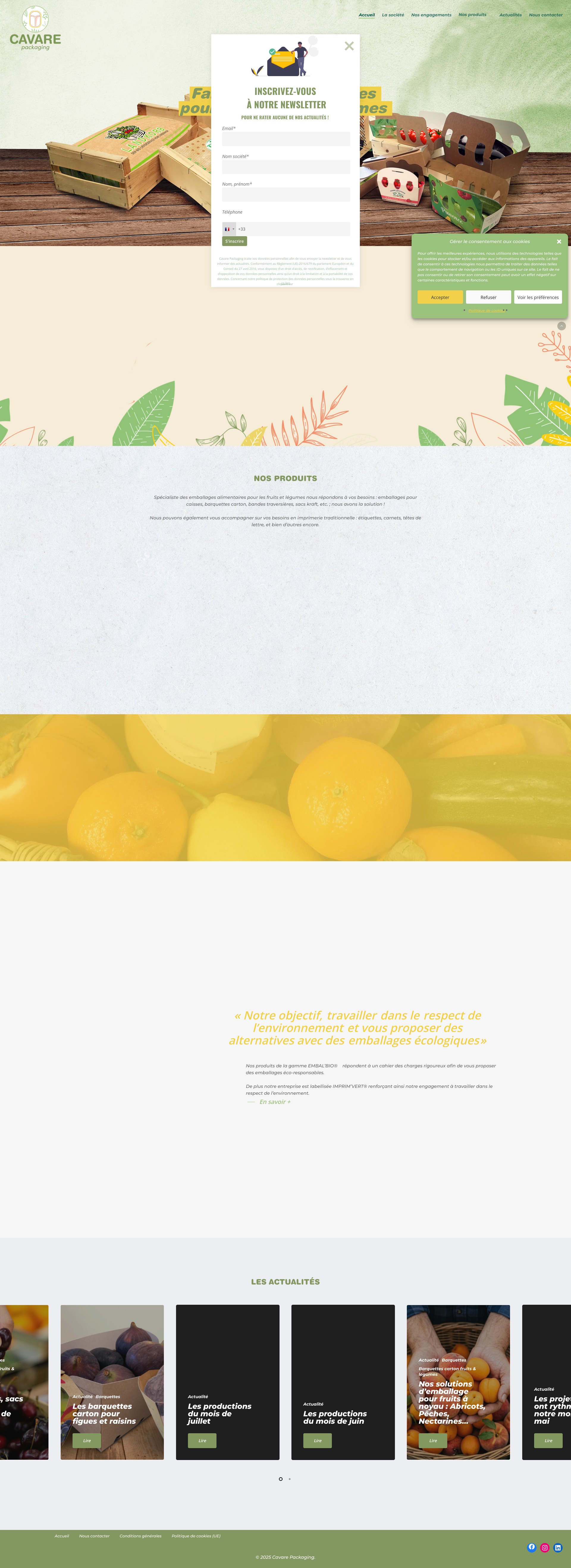 Aperçu du site
