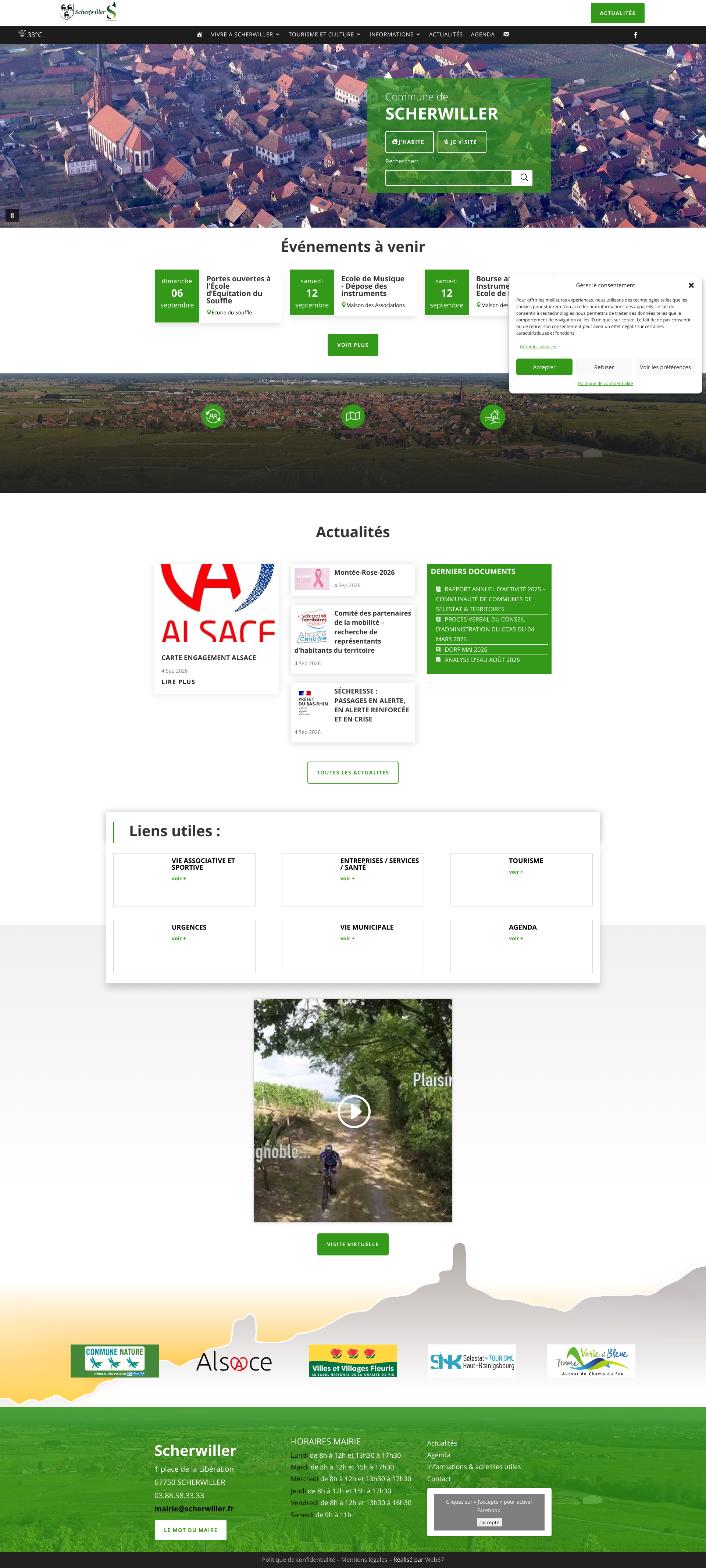 Aperçu du site