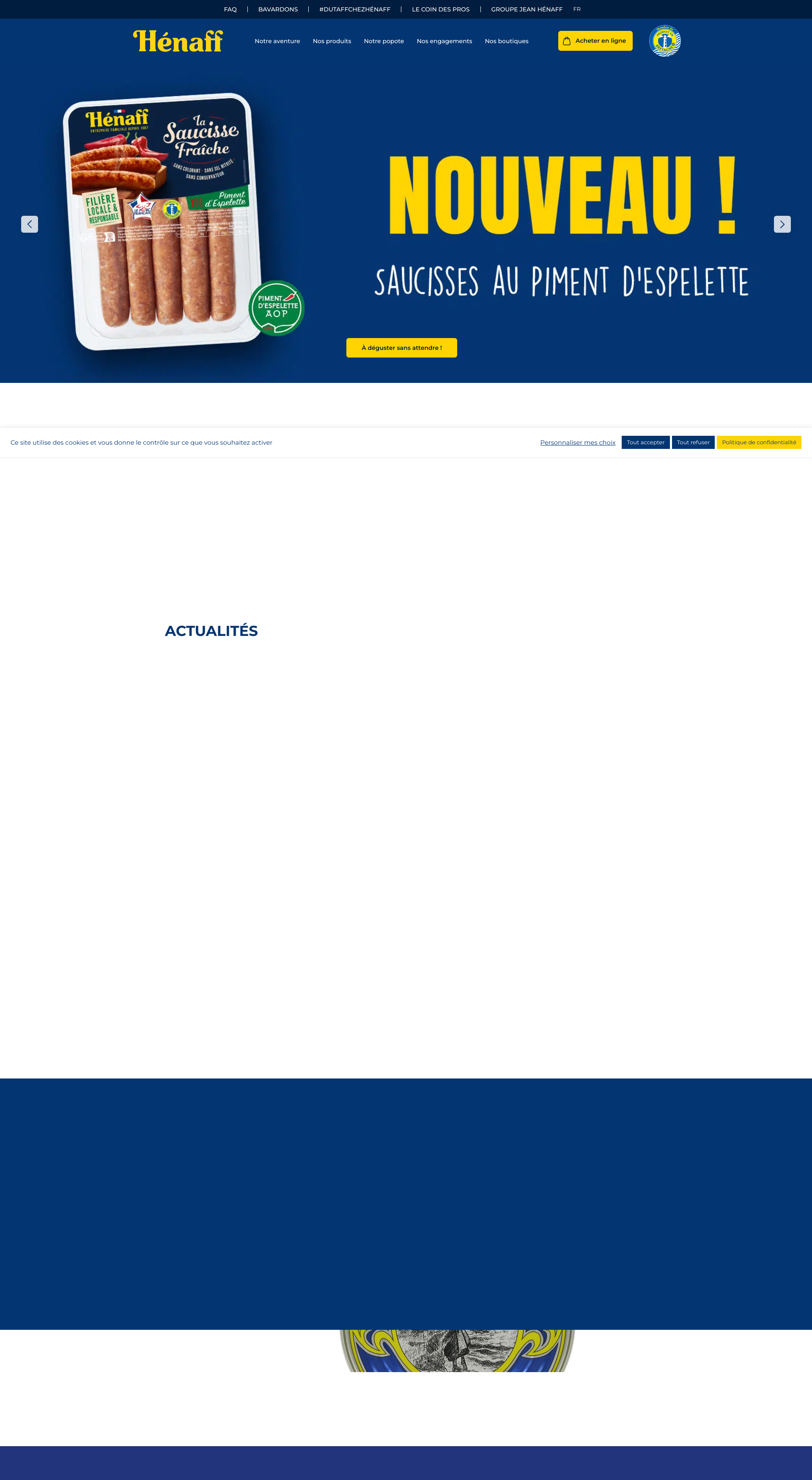 Aperçu du site