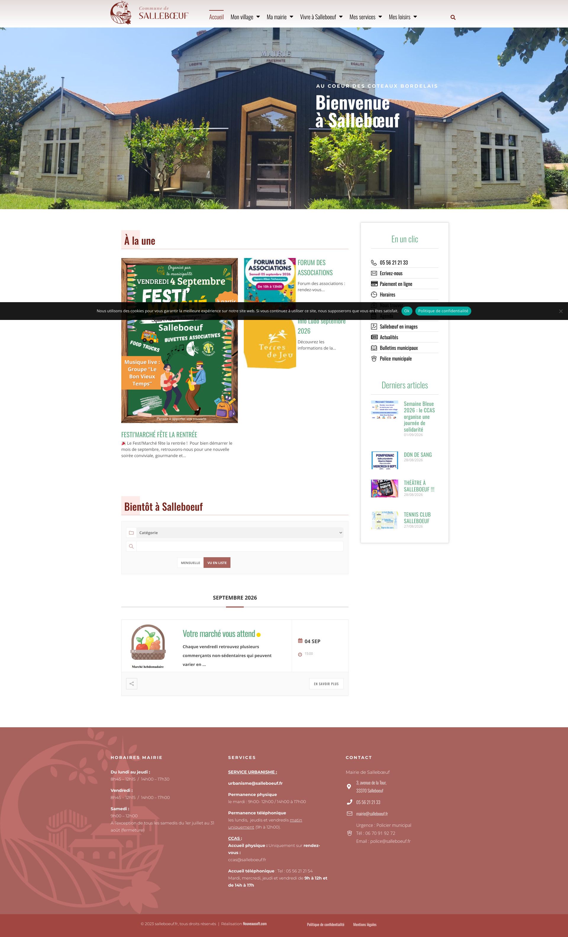 Aperçu du site