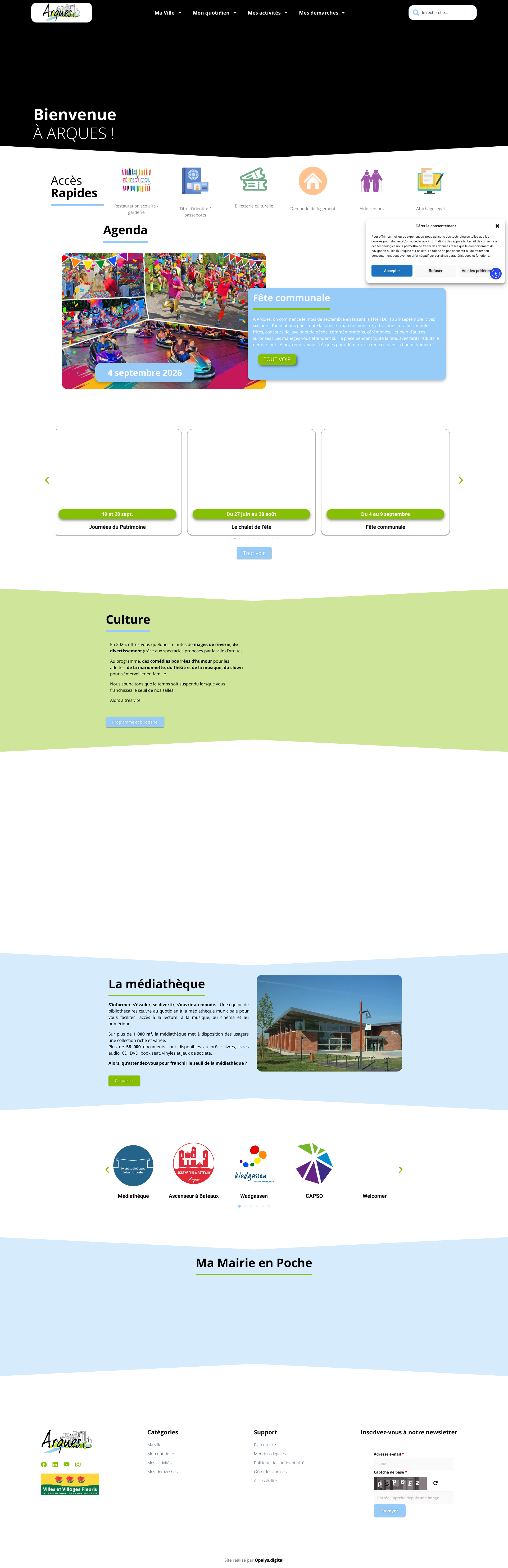Aperçu du site