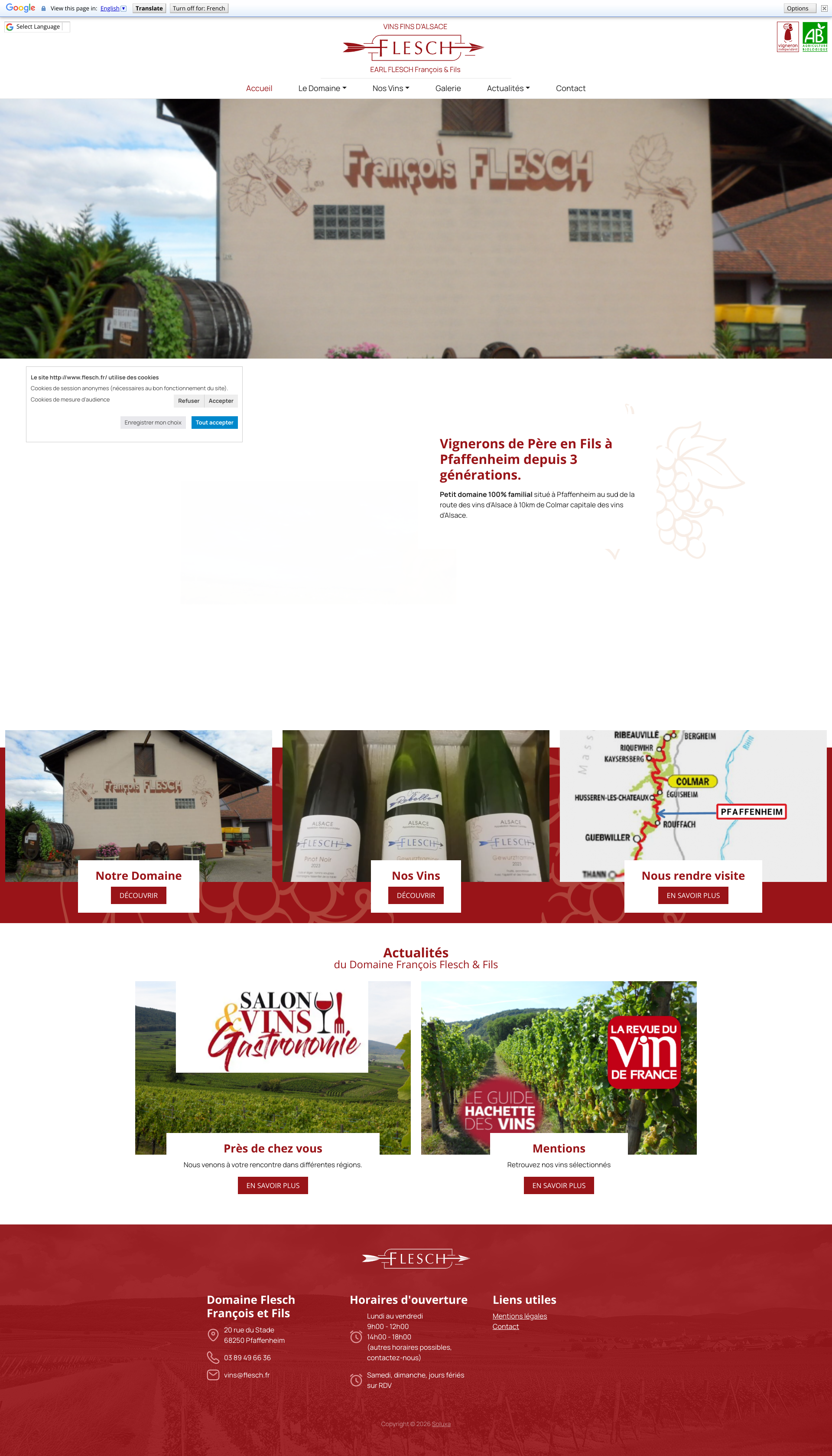 Aperçu du site