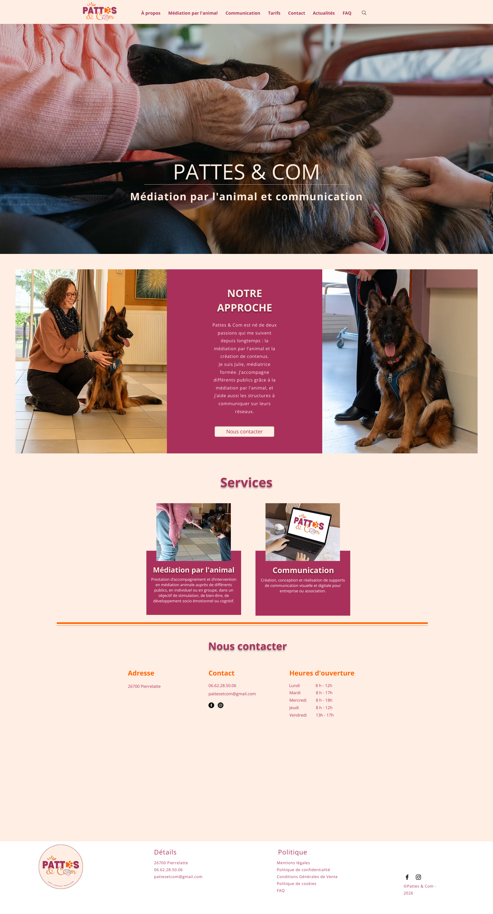 Aperçu du site