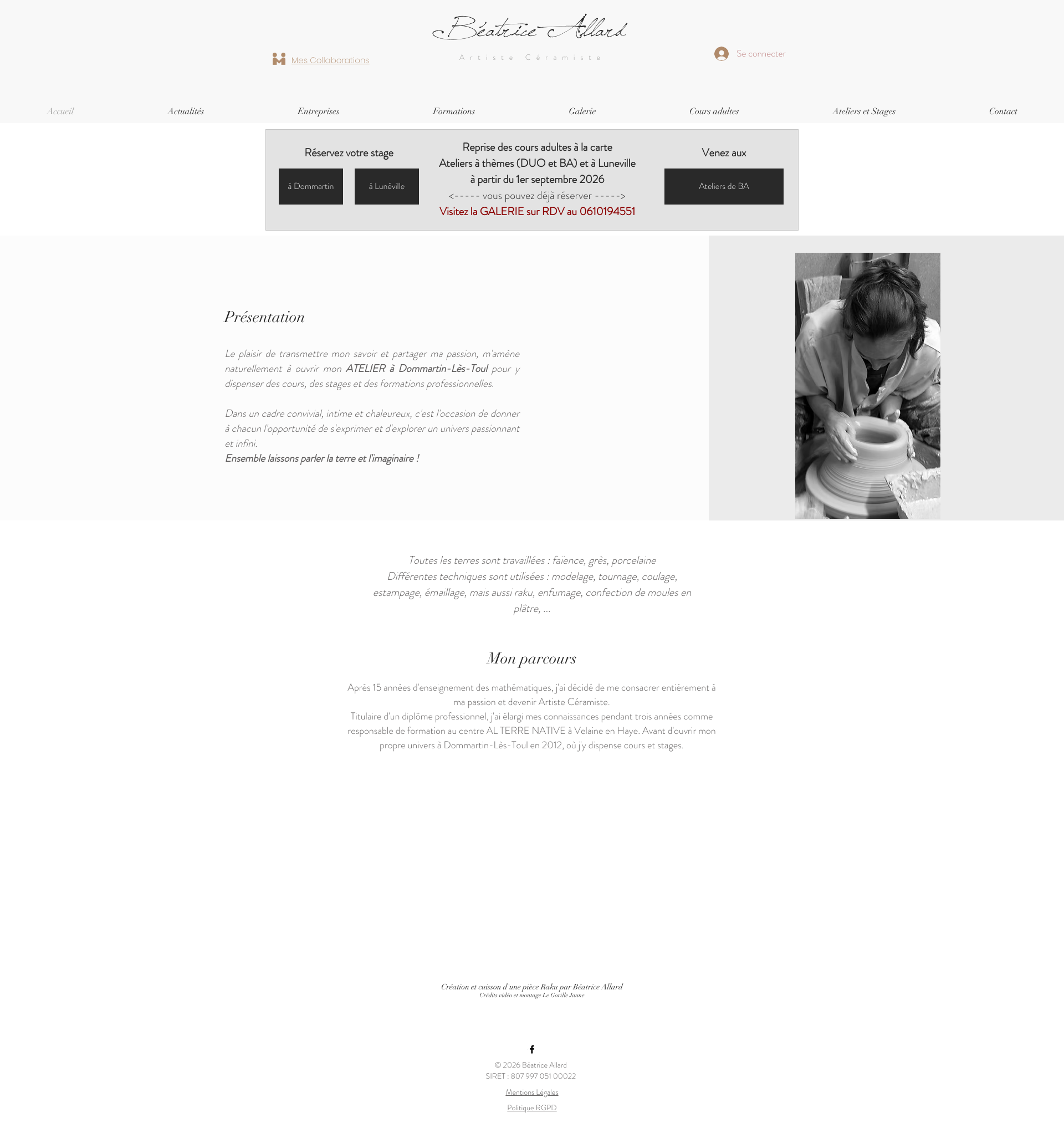 Aperçu du site