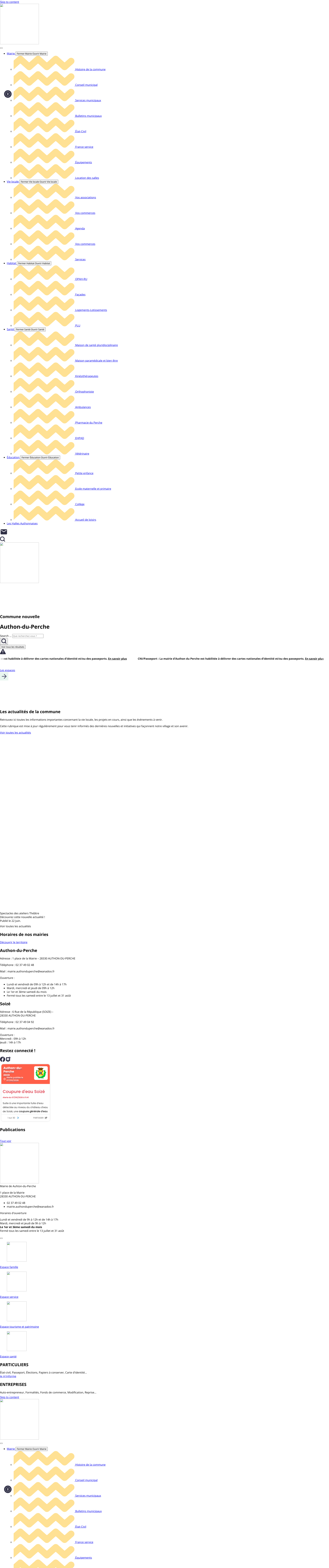 Aperçu du site