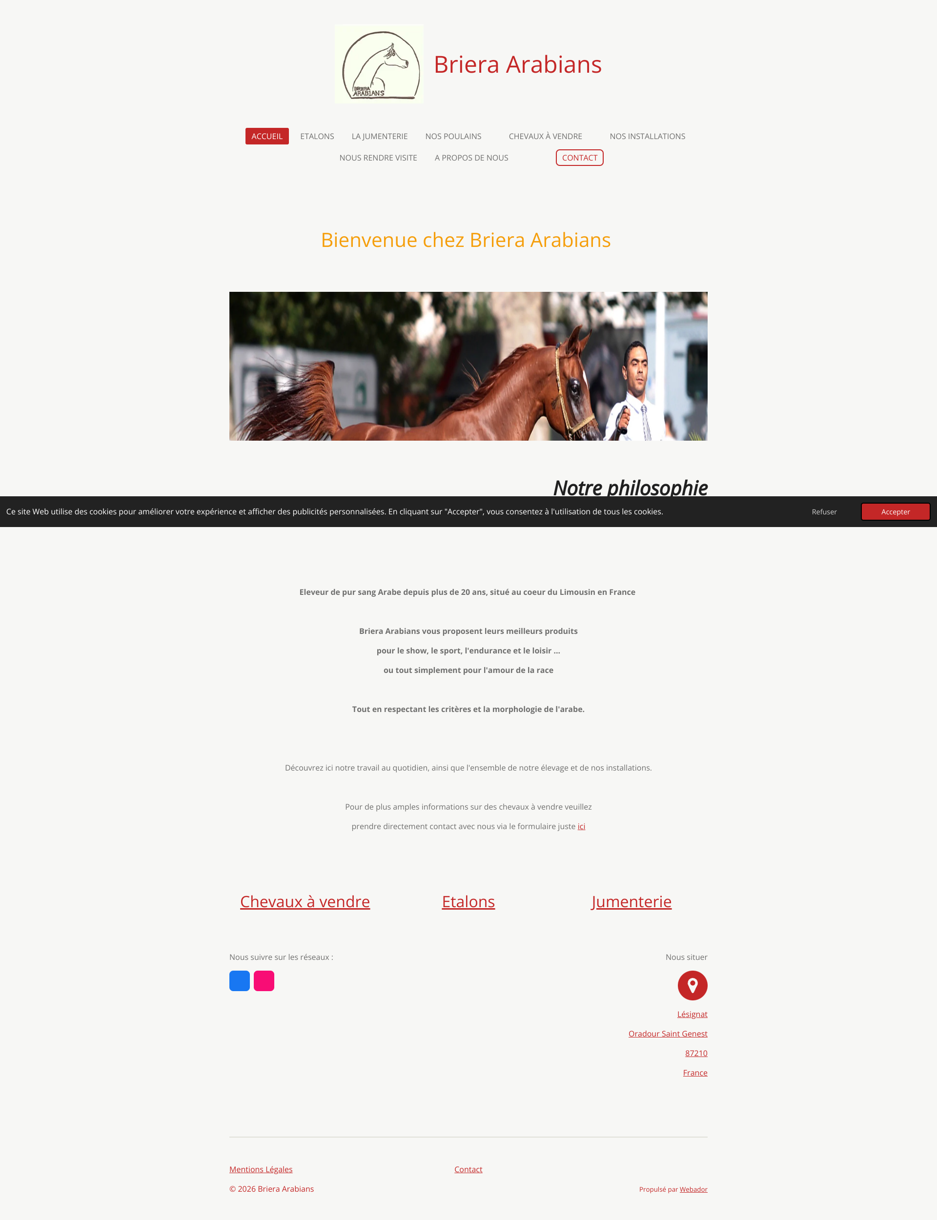 Aperçu du site