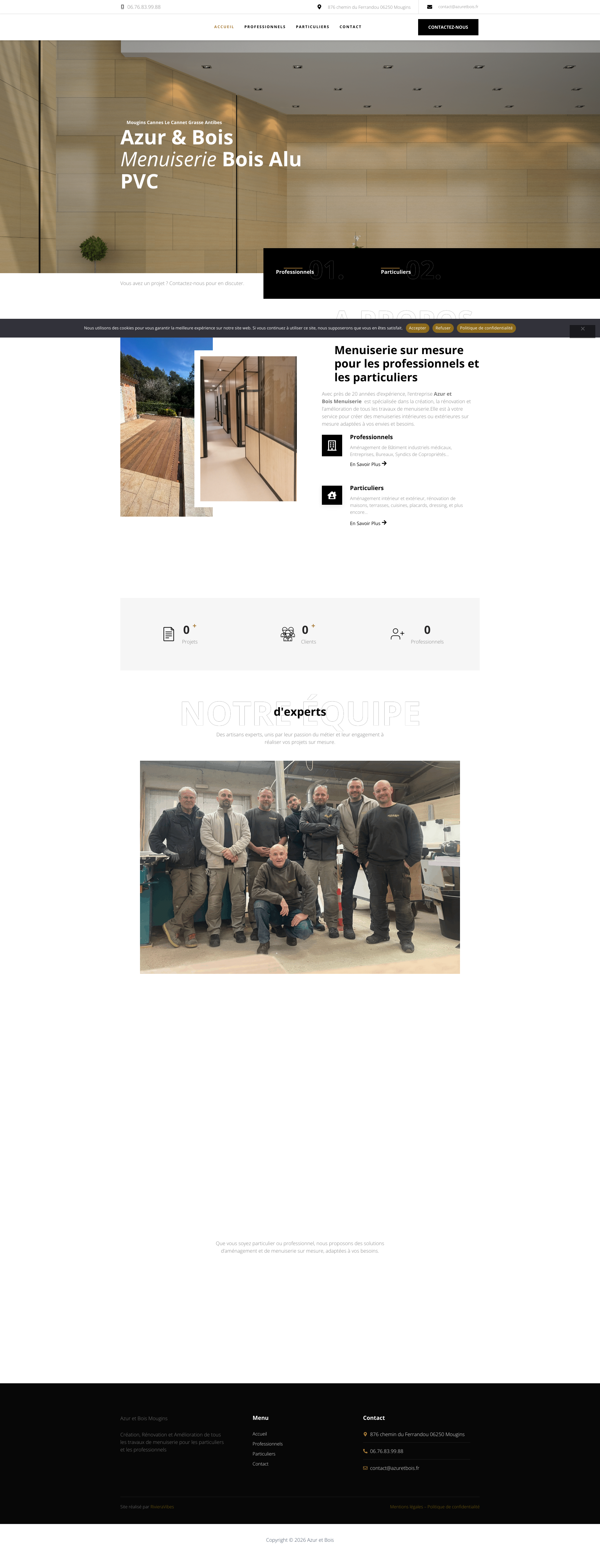 Aperçu du site