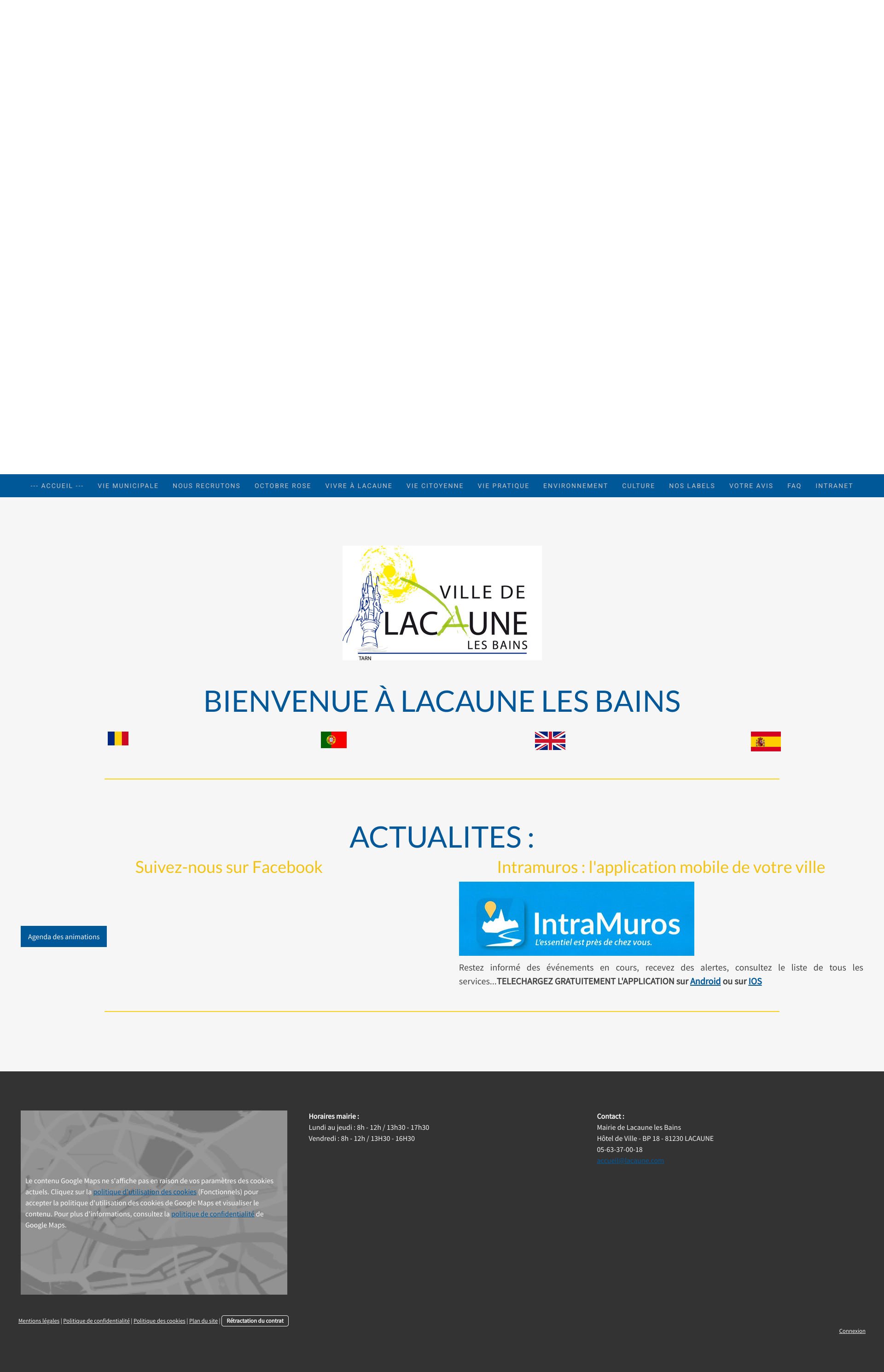 Aperçu du site