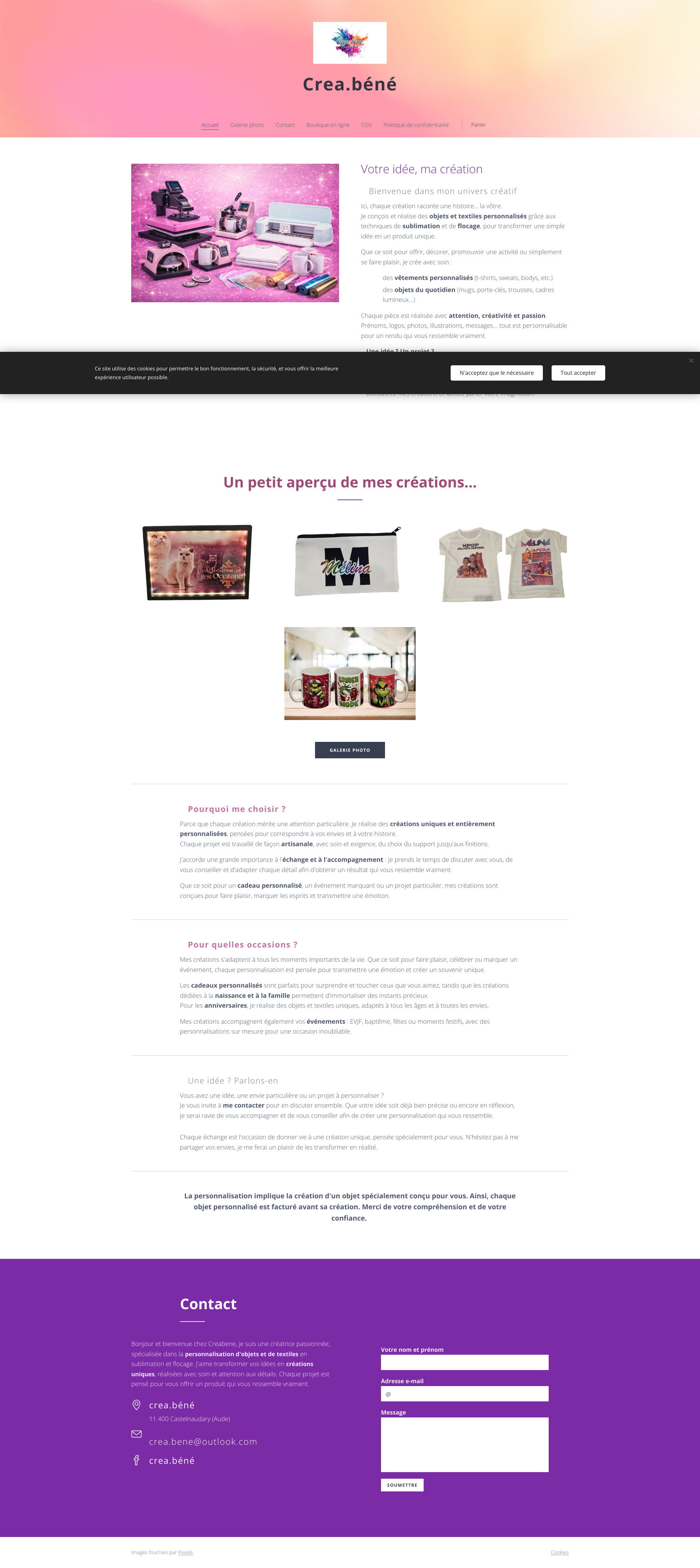 Aperçu du site