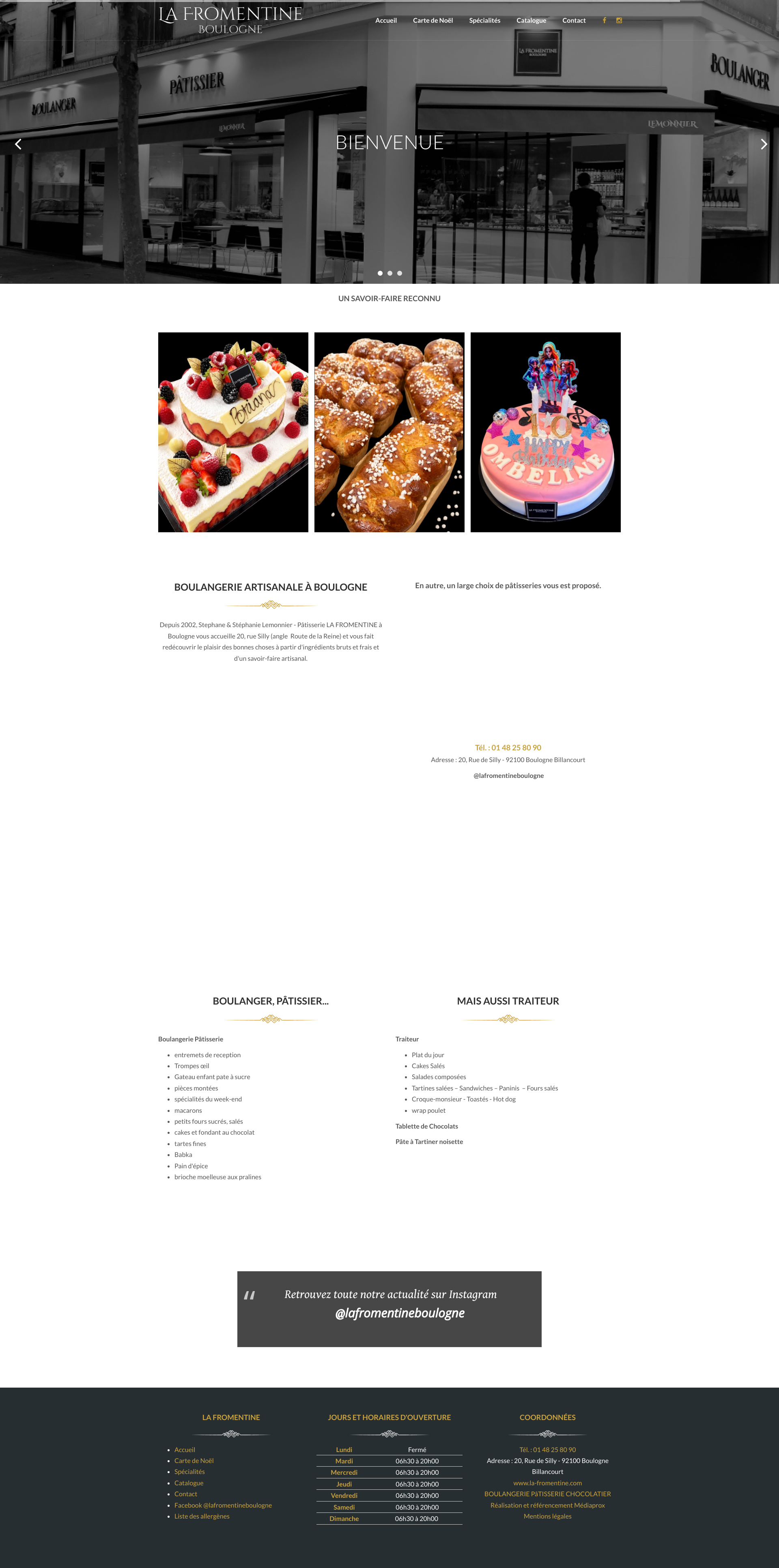Aperçu du site