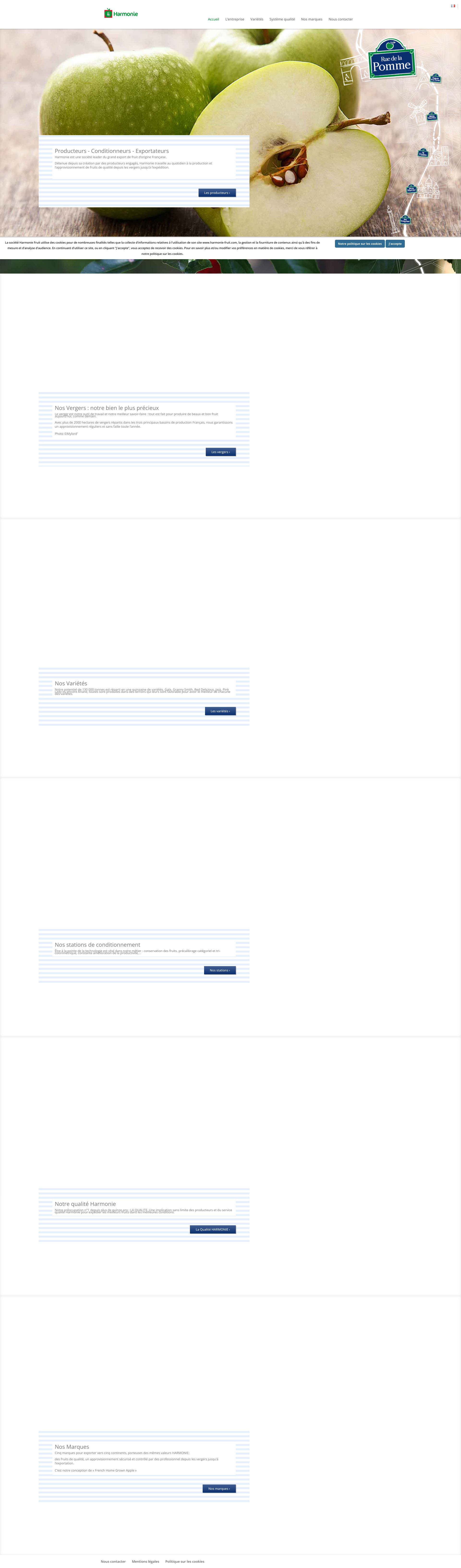 Aperçu du site
