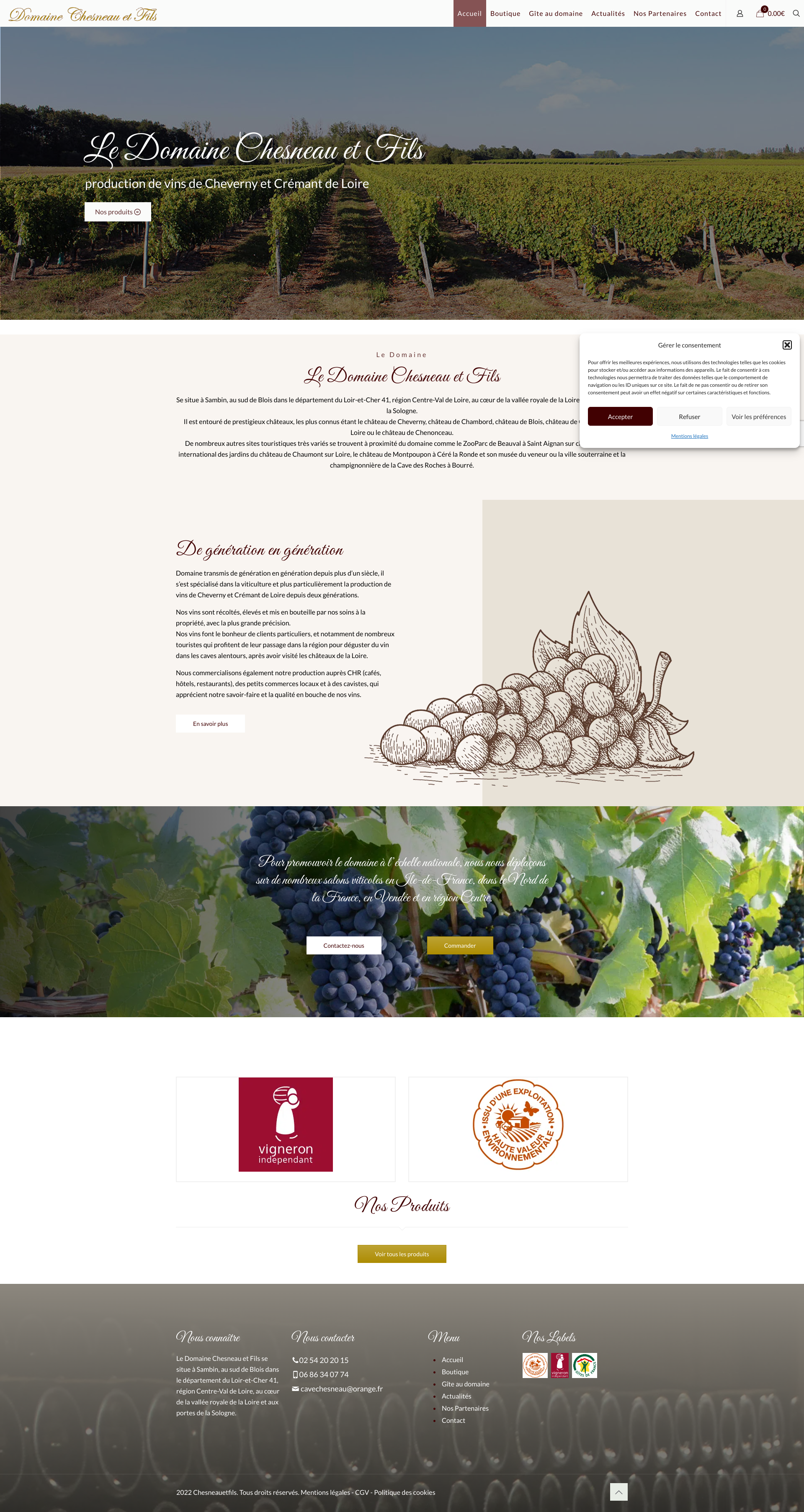 Aperçu du site