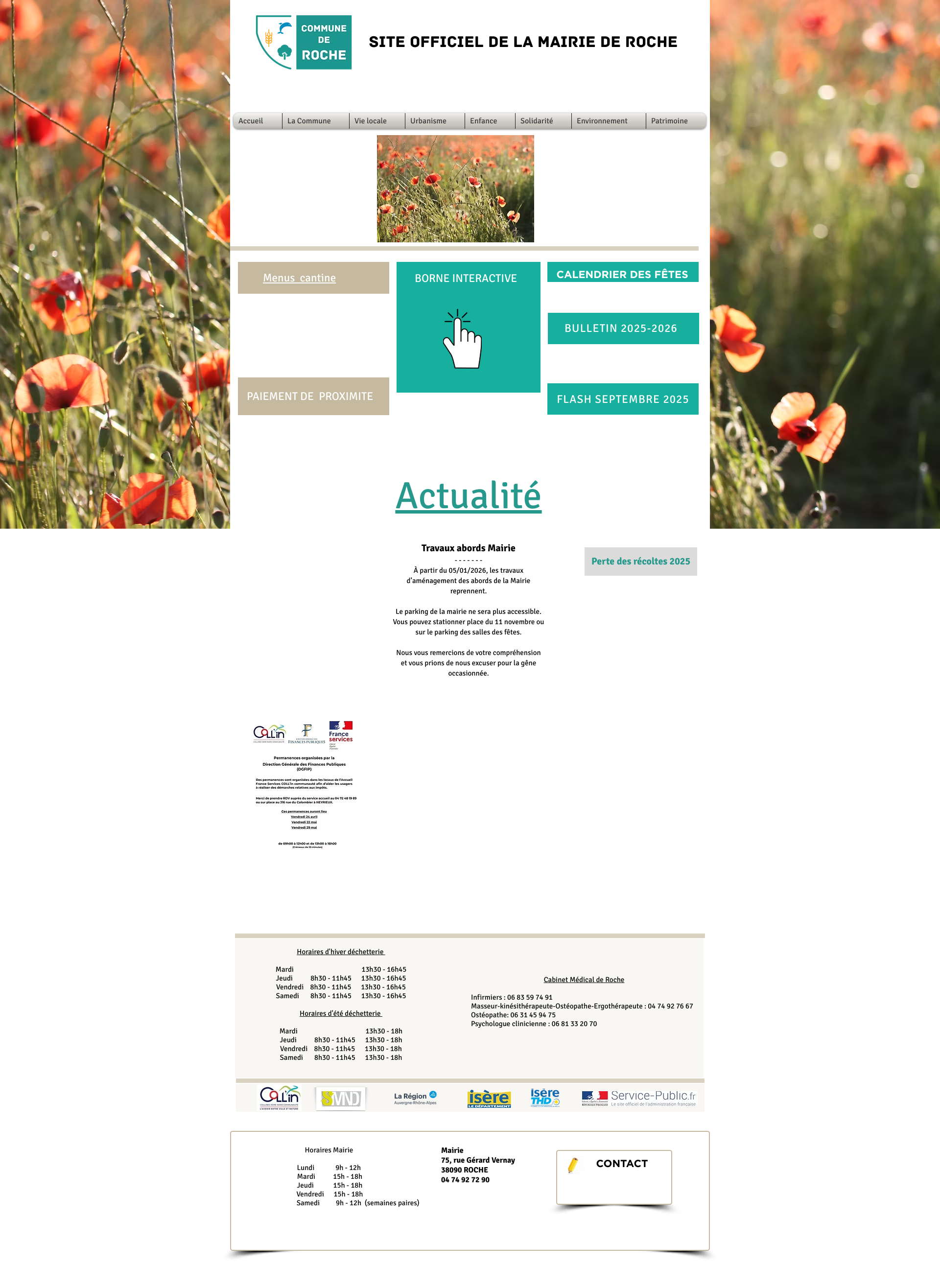 Aperçu du site