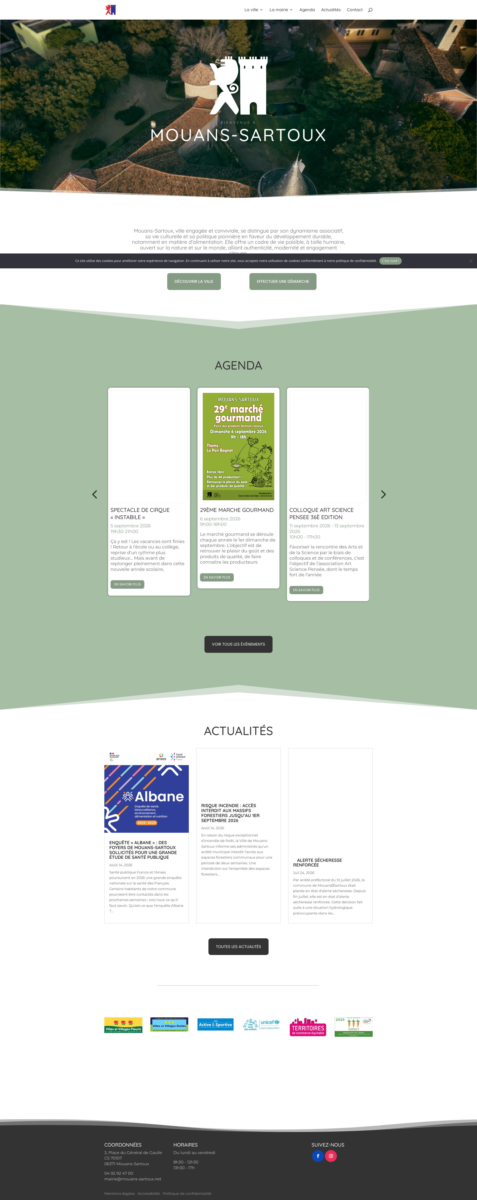 Aperçu du site