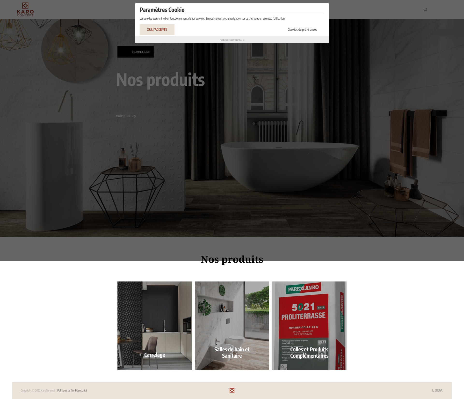 Aperçu du site